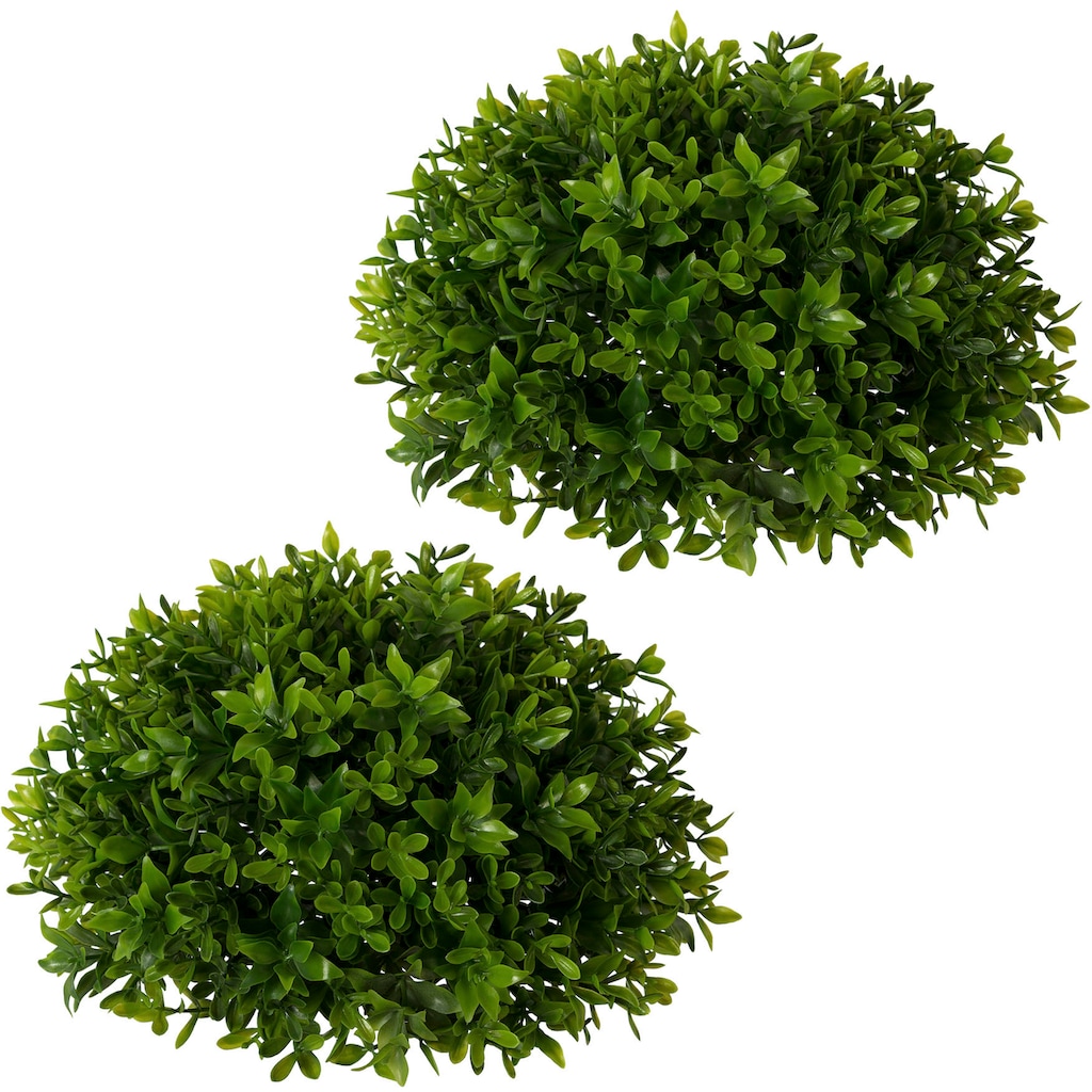 Creativ green Kunstpflanze »Buchsbaumhalbkugel«