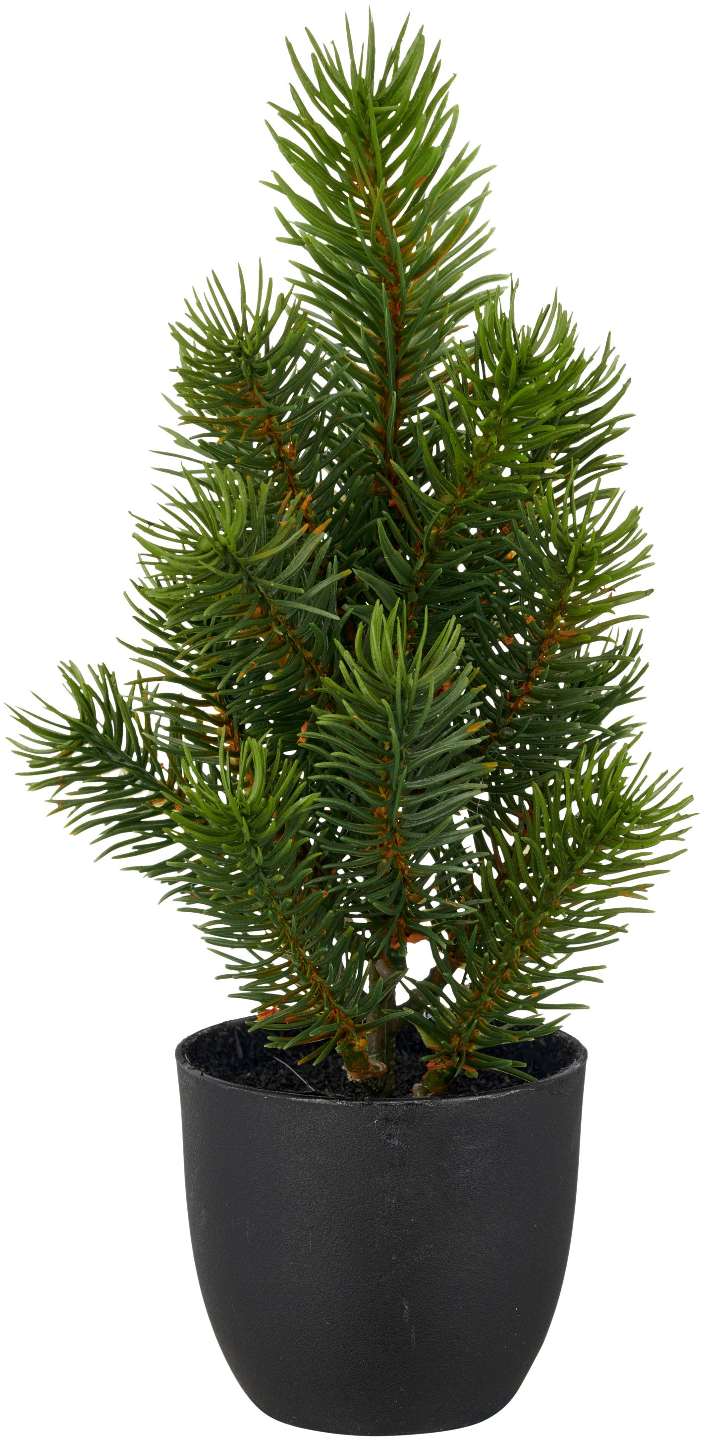 Creativ green Winterliche Kunstpflanze »Tannenbäumchen« mit naturgetreuen Tannenzweigen