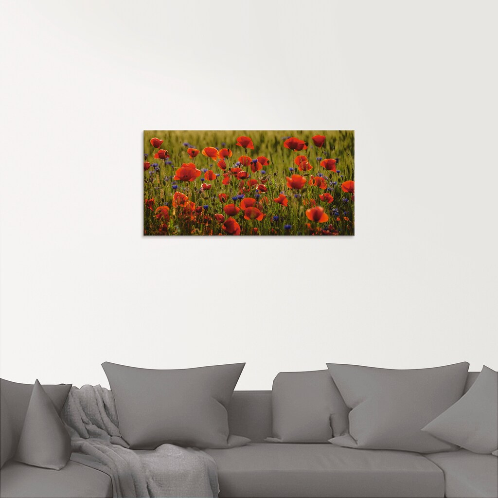 Artland Glasbild »Sommermohn«, Blumen, (1 St.)