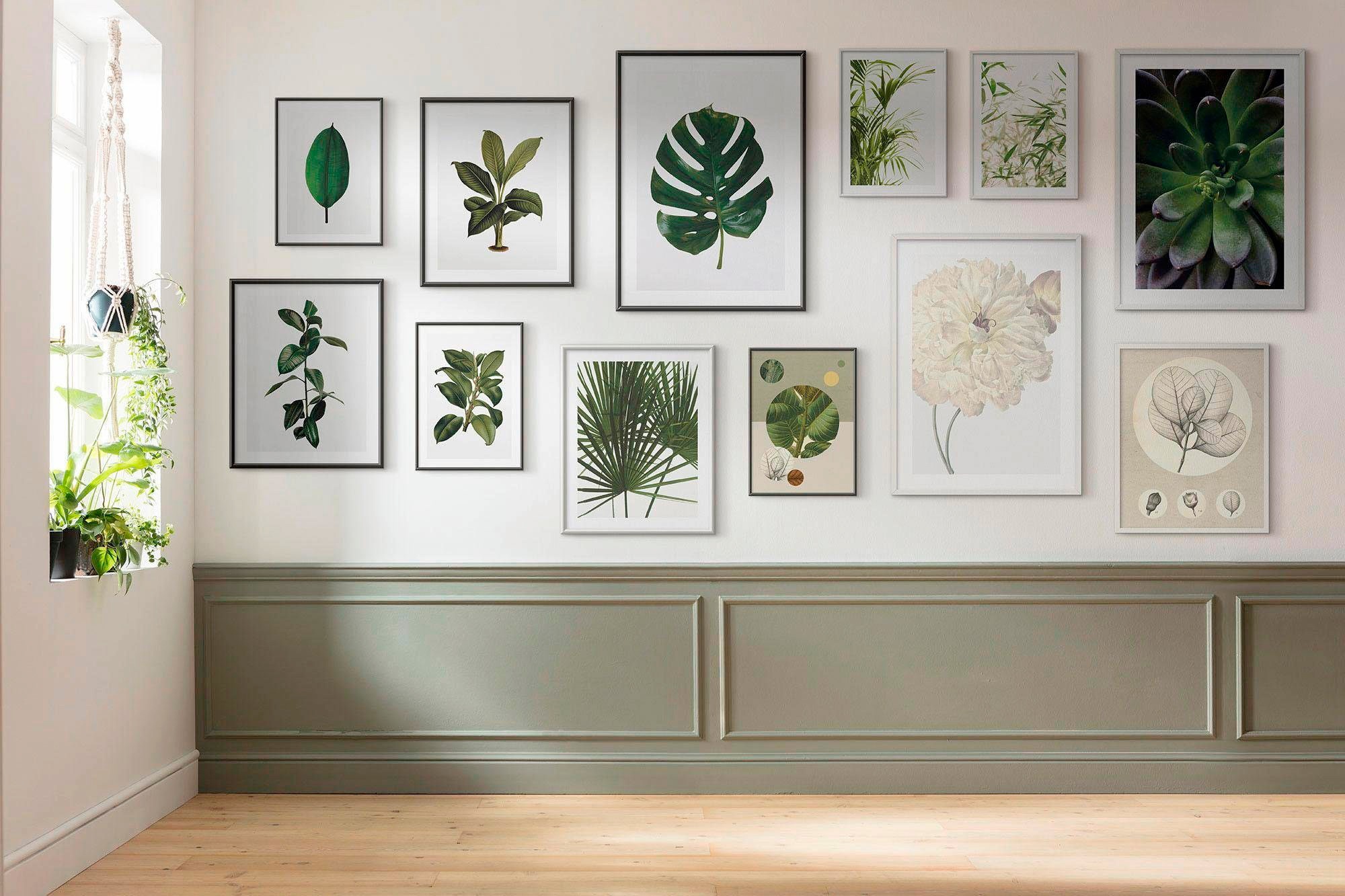 Komar Bild »Elastica Tree«, Pflanzen-Blätter, (1 St.), Wandbild zur Dekoration - ohne Rahmen