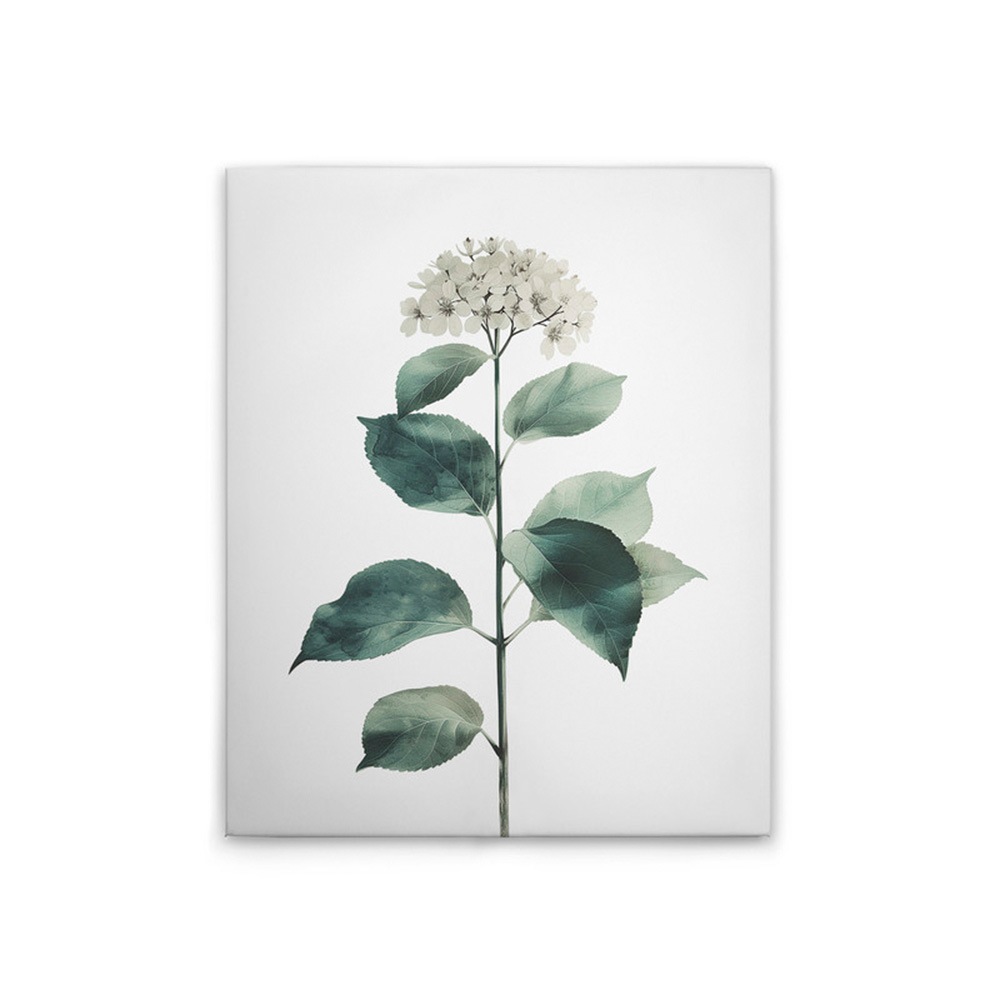 A.S. Création Leinwandbild »Hortensie Blanc - Wandbild Weiß Grün Keilrahmen günstig online kaufen