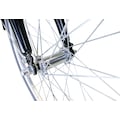 HAWK Bikes Cityrad »HAWK Citytrek Gent Premium«, Shimano, Nexus 3-Gang Schaltwerk