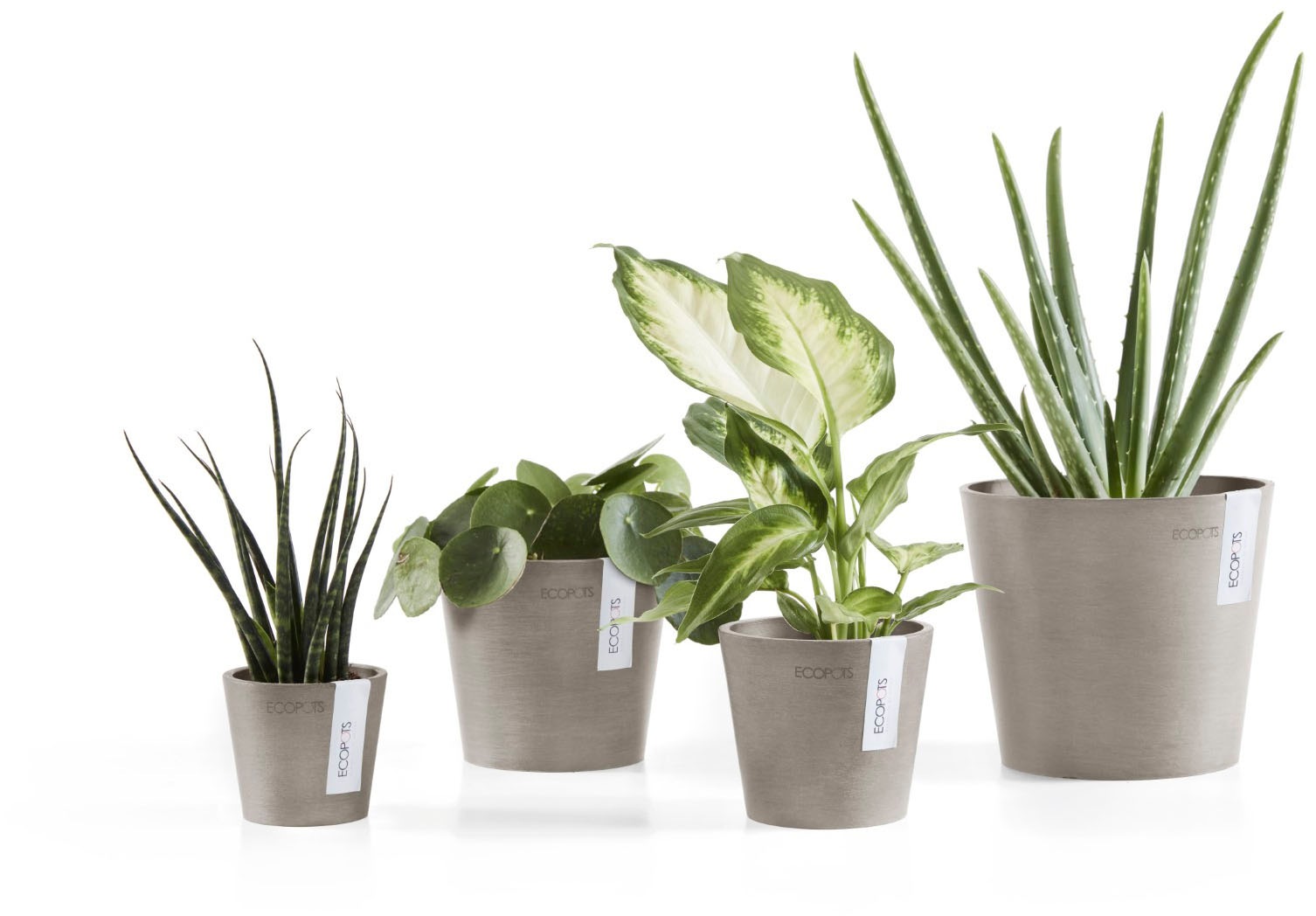 ECOPOTS Blumentopf »Amsterdam Mini 17 Taupe« für den Innenbereich