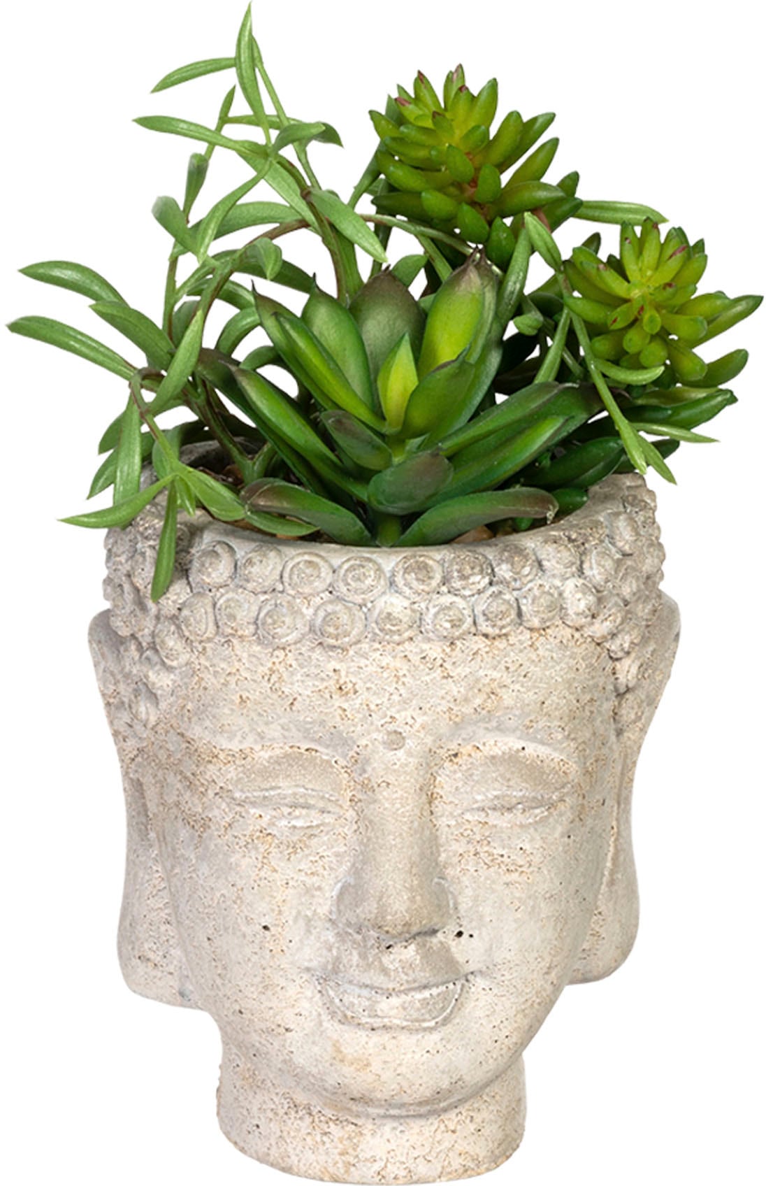 Creativ green Künstliche Zimmerpflanze »Sukkulentenarrangement«, im Gefäß aus Zement, 2er Set