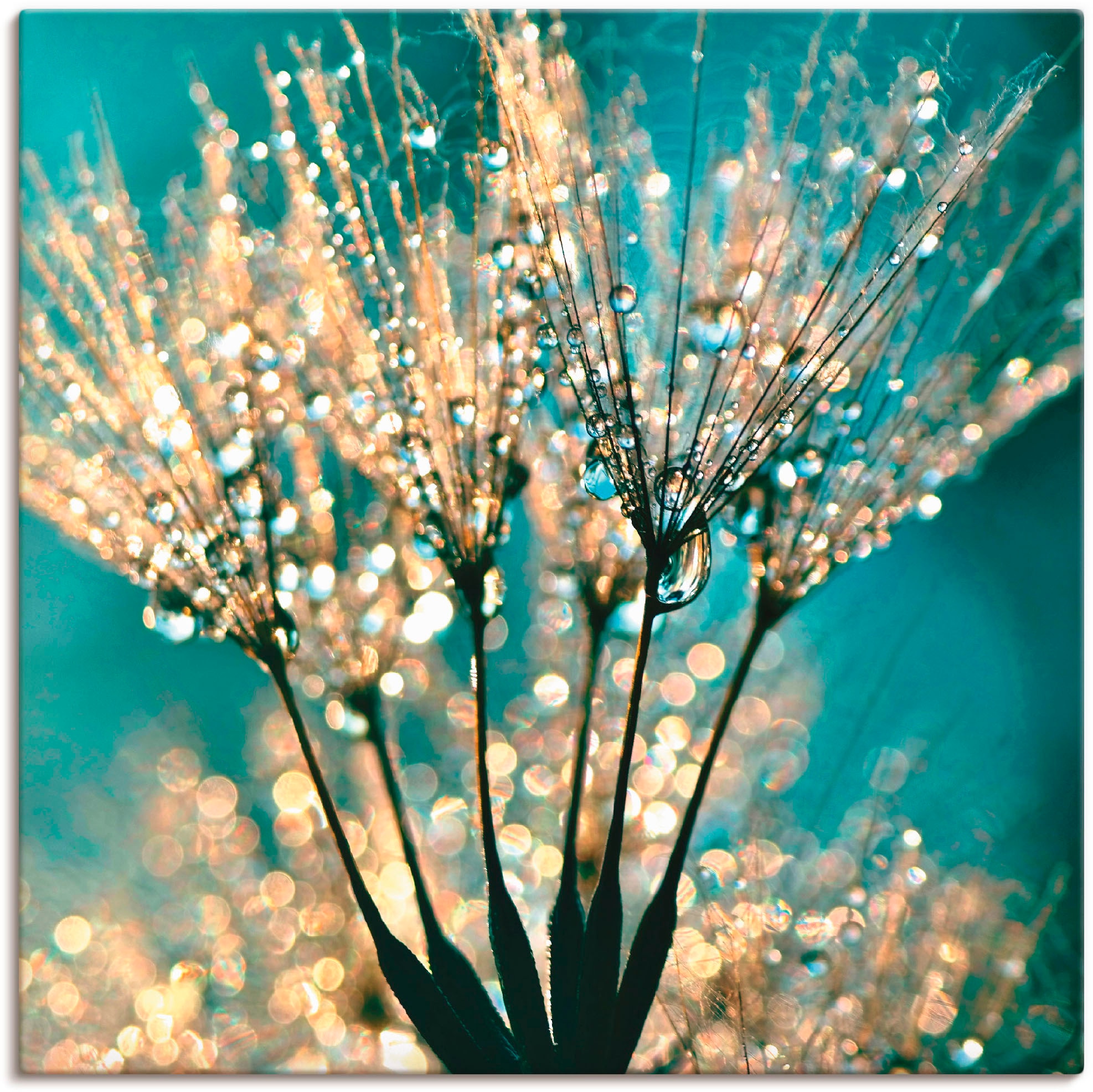 Artland Wandbild »Pusteblume Schirmchen abstrakt«, Blumen, (1 St.), als Alubild, Outdoorbild, Leinwandbild, Poster, Wandaufkleber