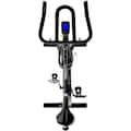 BH Fitness Fahrradtrainer »Indoorbike Duke H920«