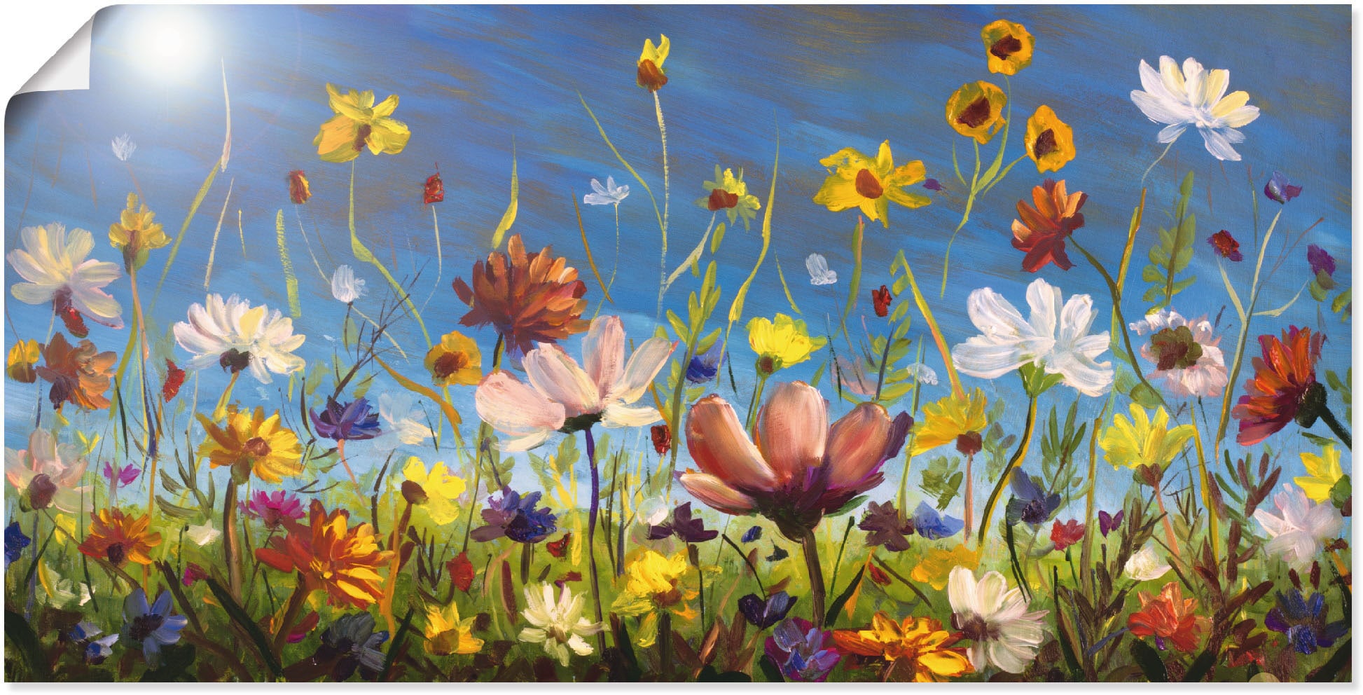 Artland Wandbild »Wildblumenwiese Blumenwiese, Leinwandbild, online St.), oder blauer Poster Alubild, Größen Wandaufkleber als versch. in Himmel«, bestellen (1