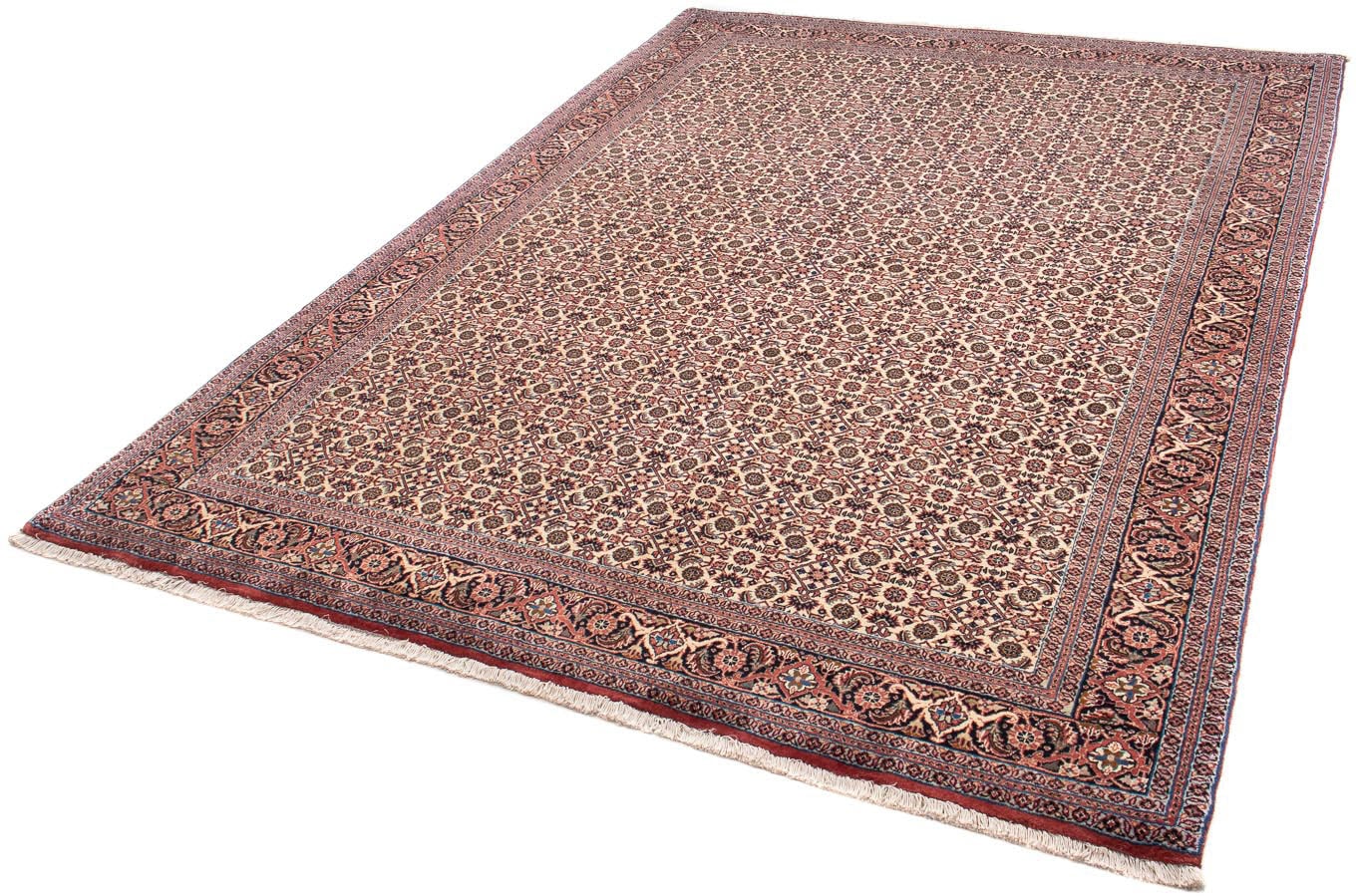 morgenland Orientteppich »Perser - Bidjar - 237 x 170 cm - hellrot«, rechte günstig online kaufen