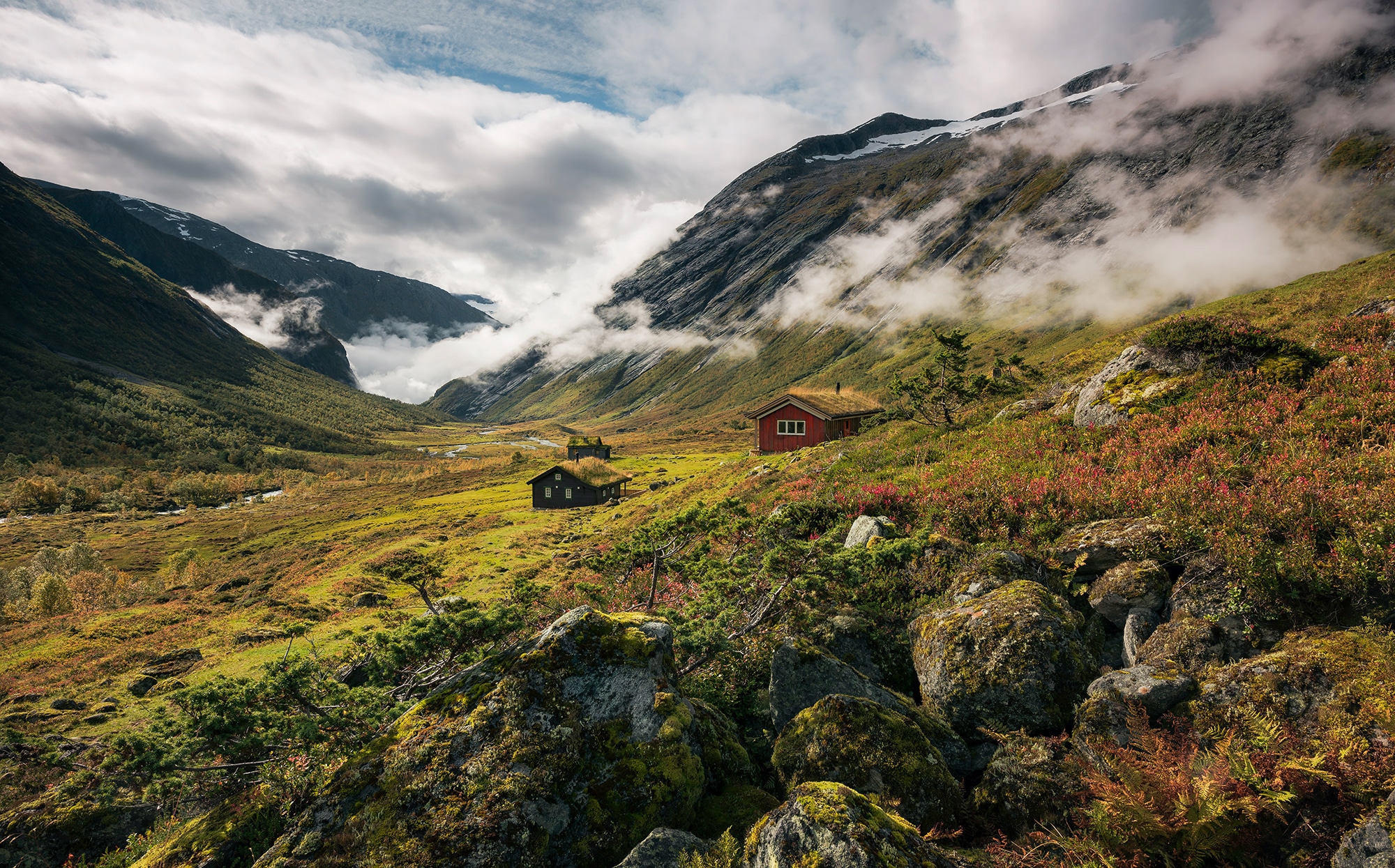 Sanders & Sanders Fototapete Landschaft Grün und Weiß 450 x 280 cm 612659 günstig online kaufen