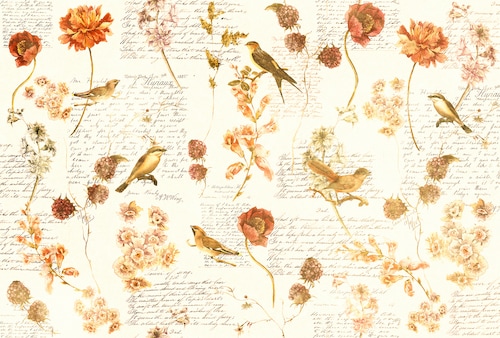 Architects Paper Fototapete »Atelier 47 Bird Poetry 1« floral glatt Vlies, günstig online kaufen