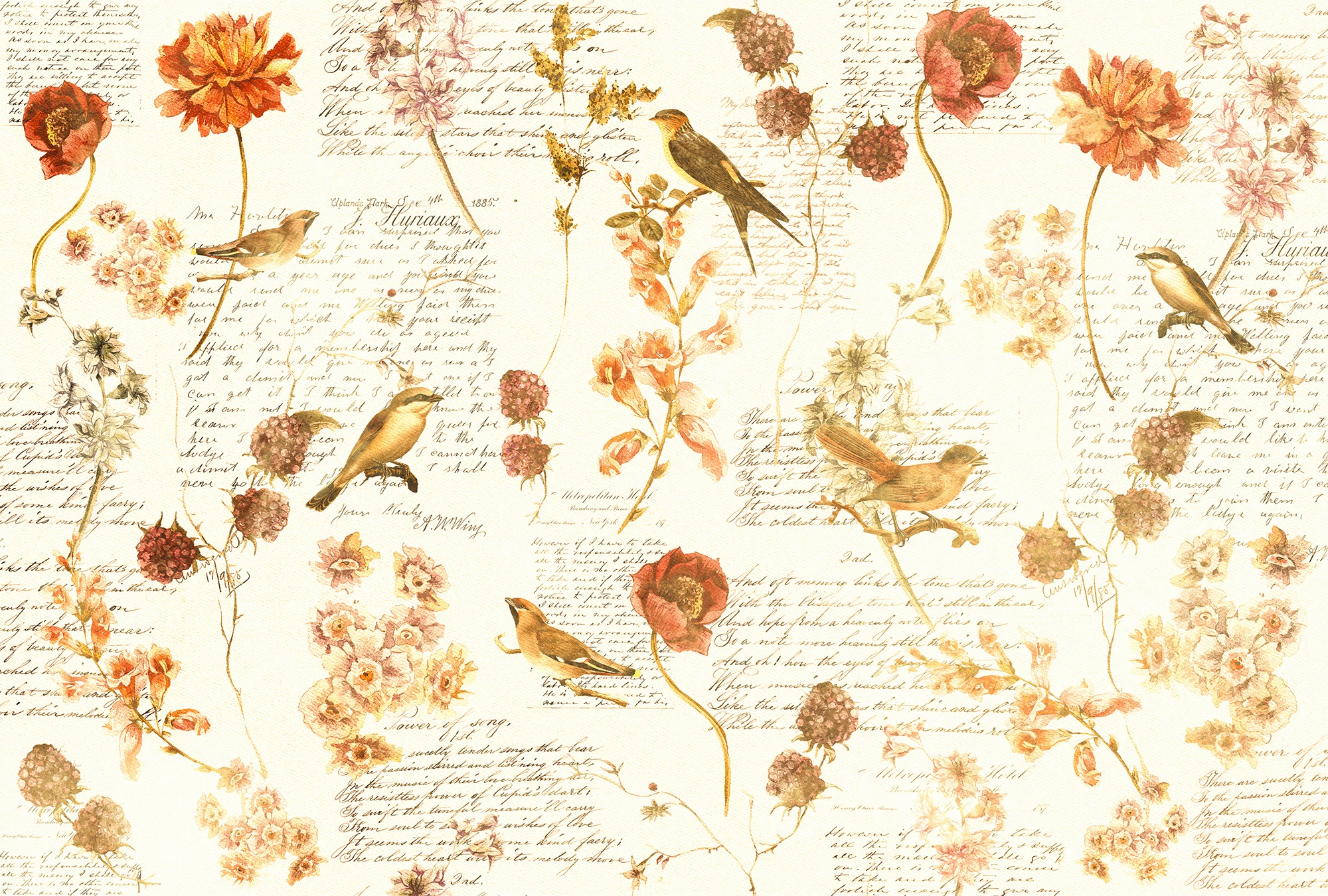 Architects Paper Fototapete »Atelier 47 Bird Poetry 1« floral glatt Vlies, günstig online kaufen