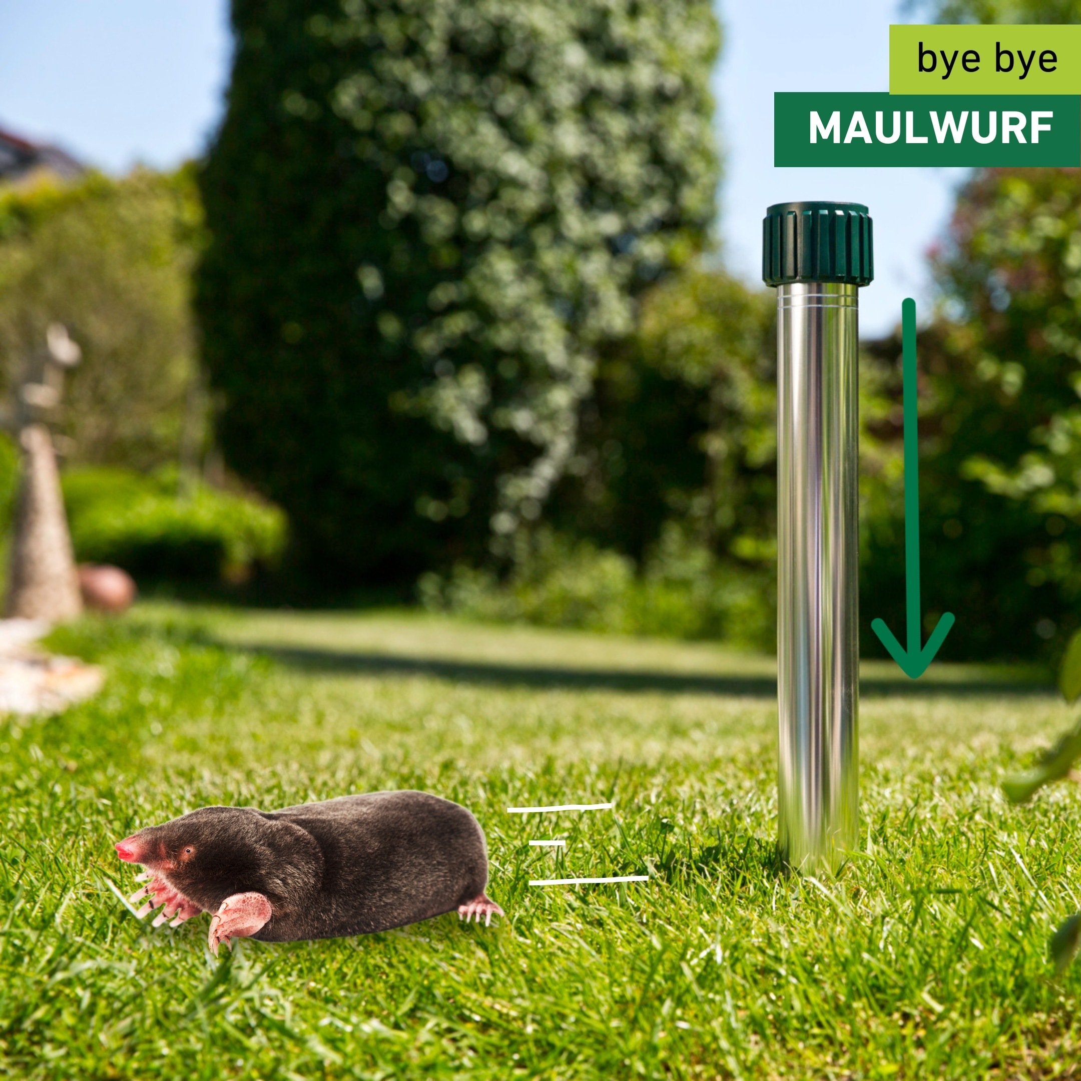Windhager Ultraschall-Tierabwehr »Maulfwurfschreck und Wühlmausvertreiber Premium, batteriebetrieben« Wirkungsbereich 900 m² mit Resonanzschwingungen und Ultraschall