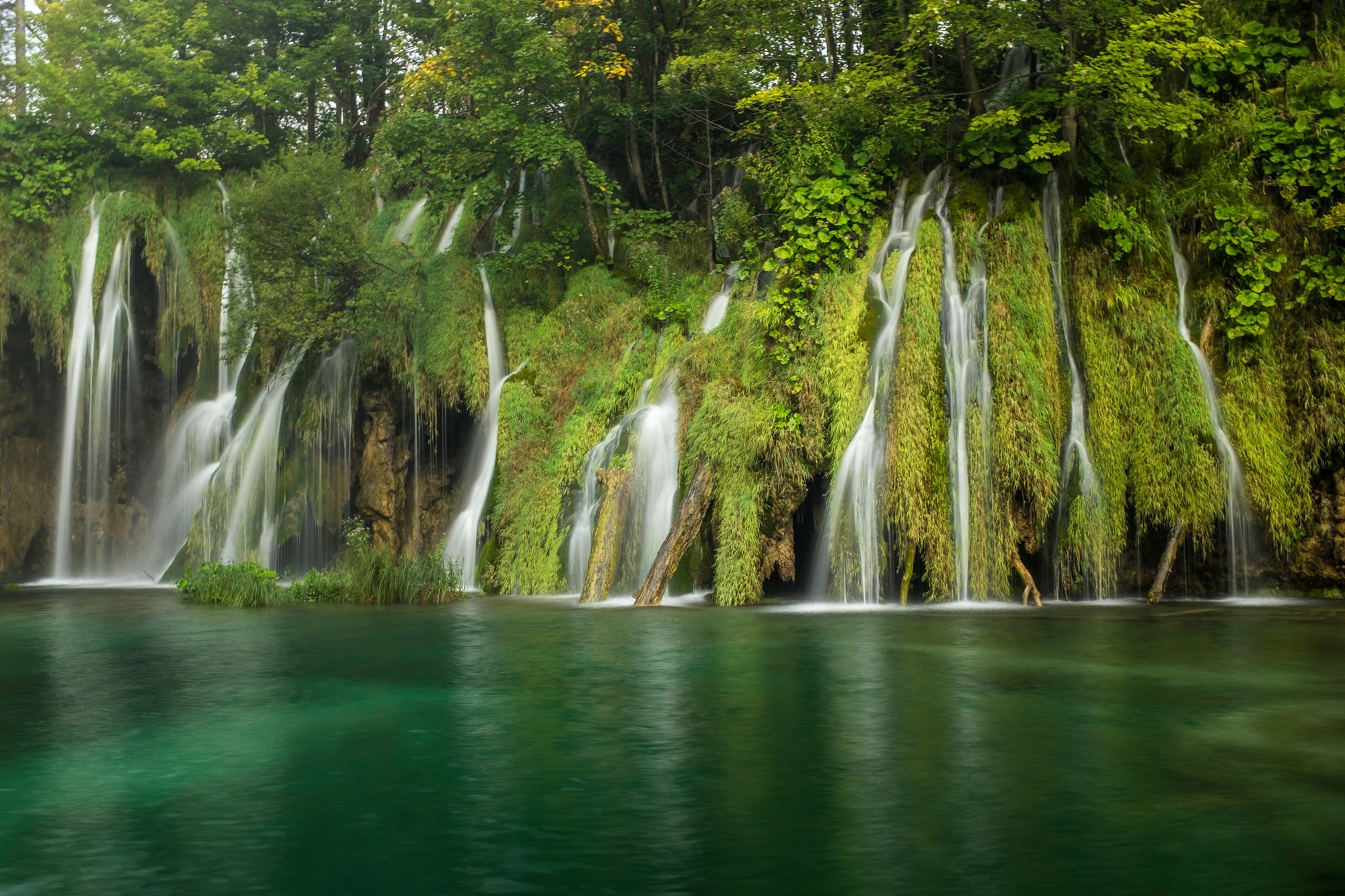 Papermoon Fototapete »WASSERFALL-BÄUME FLUSS SEE STEINE BLUME WALD BACH SON günstig online kaufen