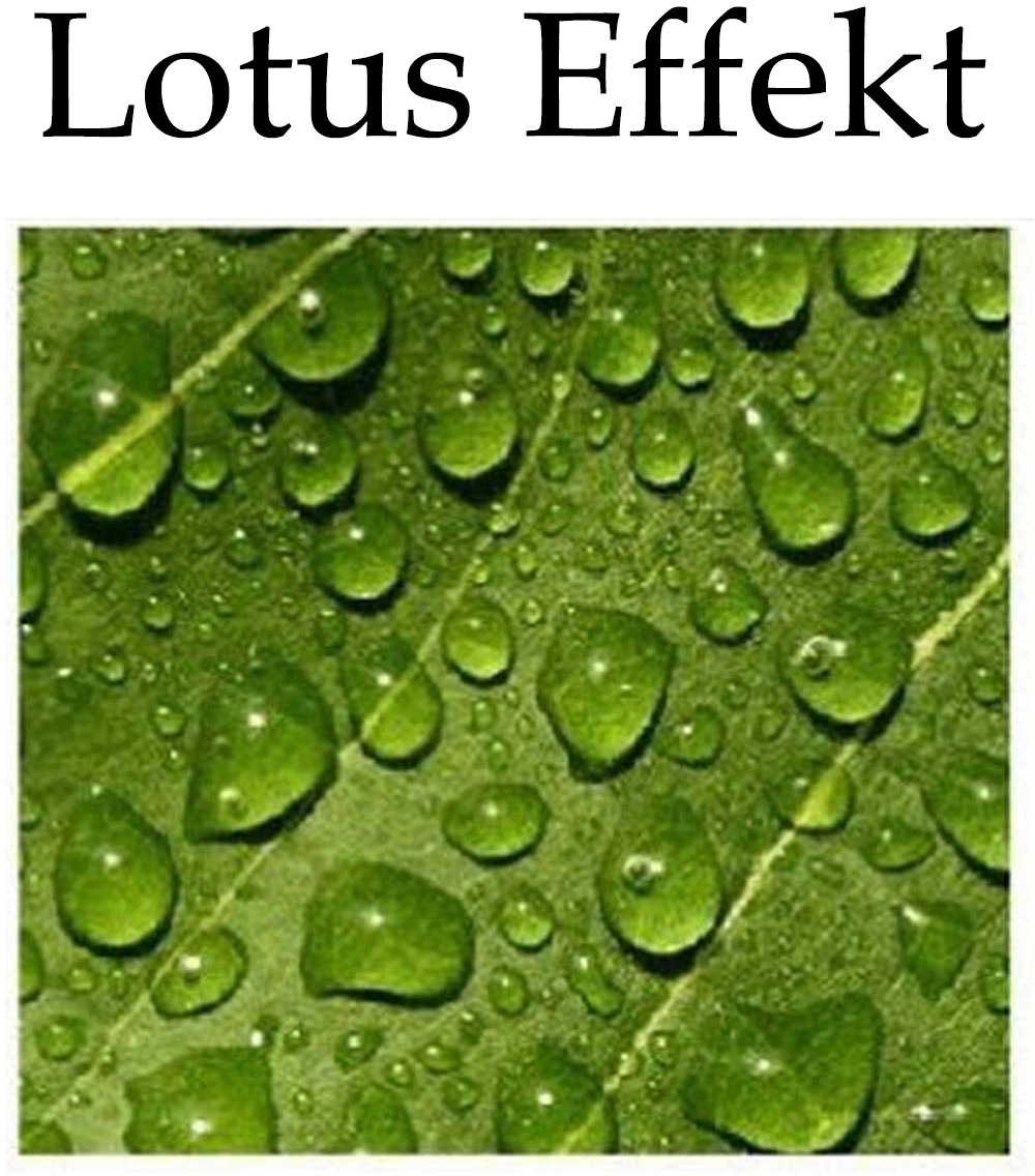 Weckbrodt Dekokissen »Kakteen«, Kissenhülle mit Füllung, Outdoor