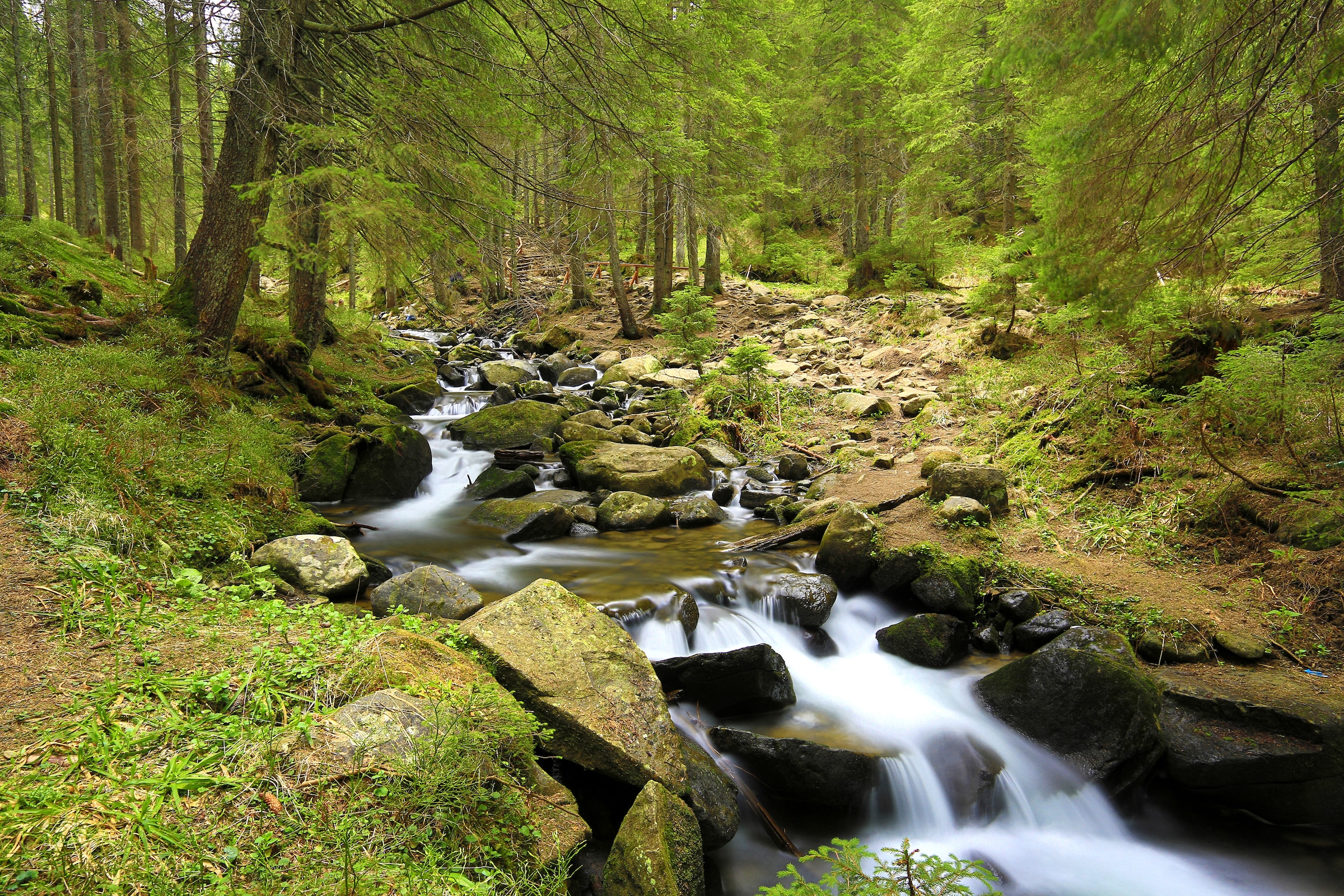 Papermoon Fototapete »Mountain River« glatt günstig online kaufen