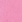 Begonia Pink
