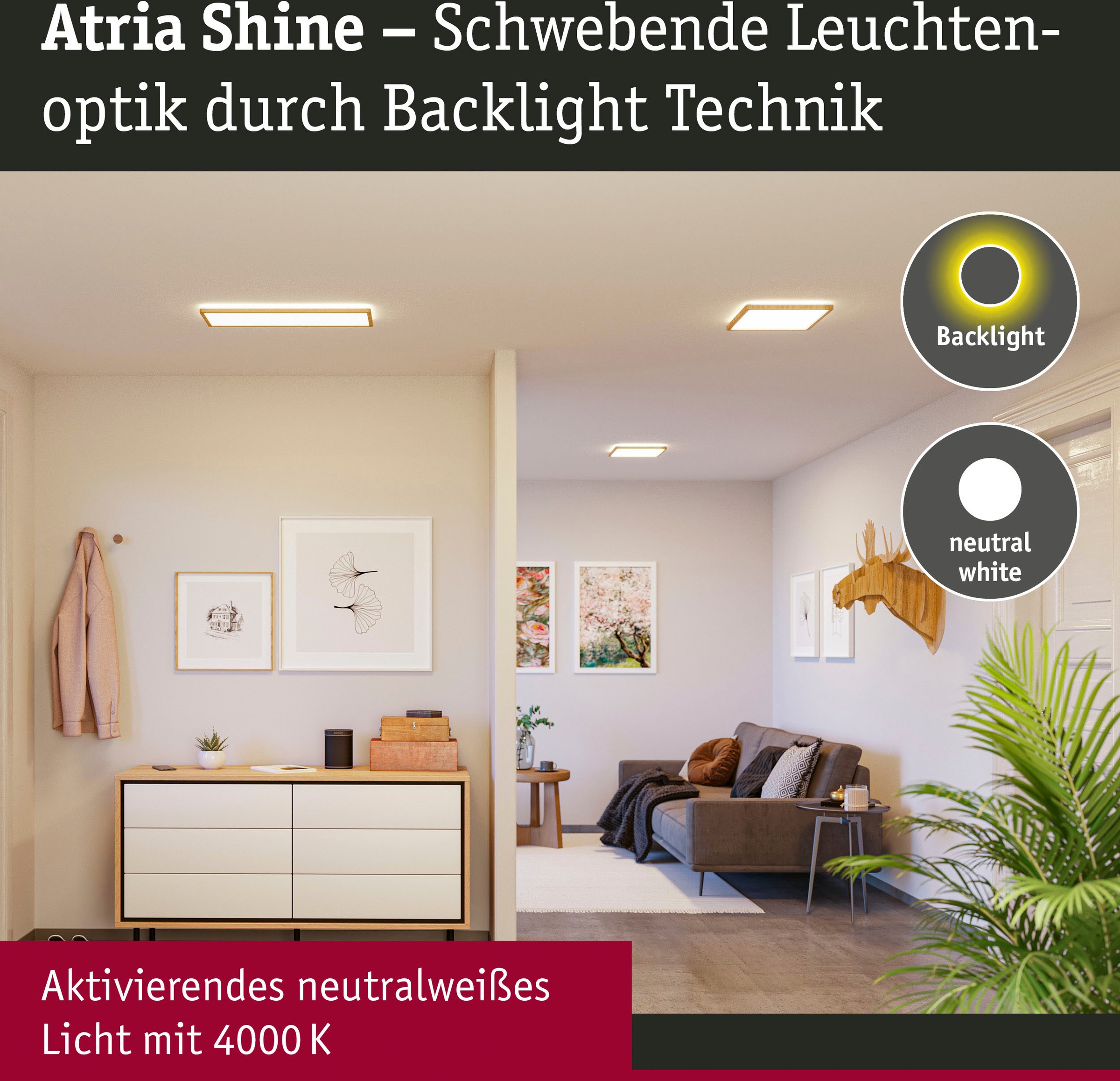 Paulmann LED Panel »Atria Shine 22W 4000K 293x293 Eiche Kunststoff IP44«, 1 flammig, Hintergrundbeleuchtung