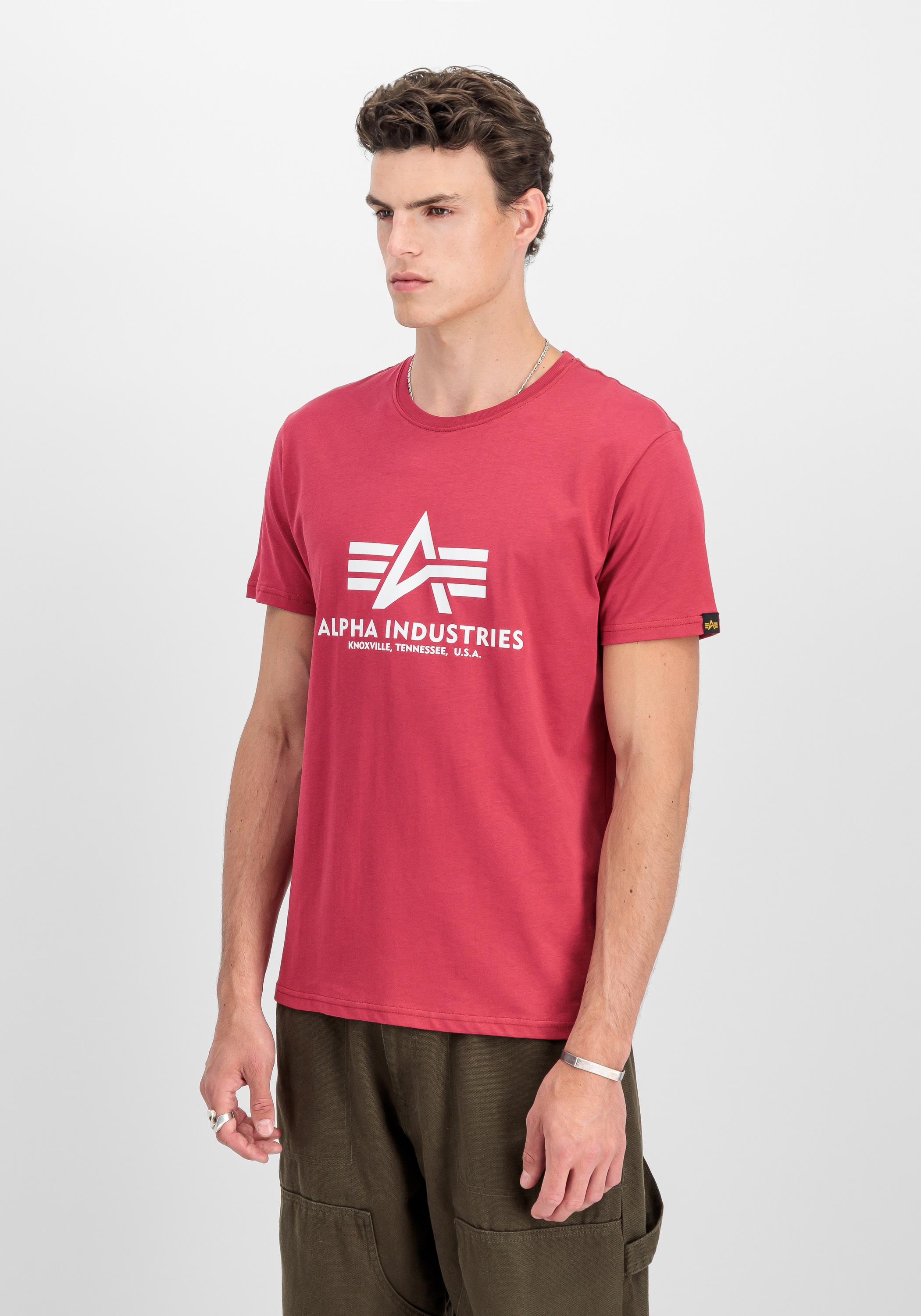 Alpha Industries T-Shirt »Basic T-Shirt BL«