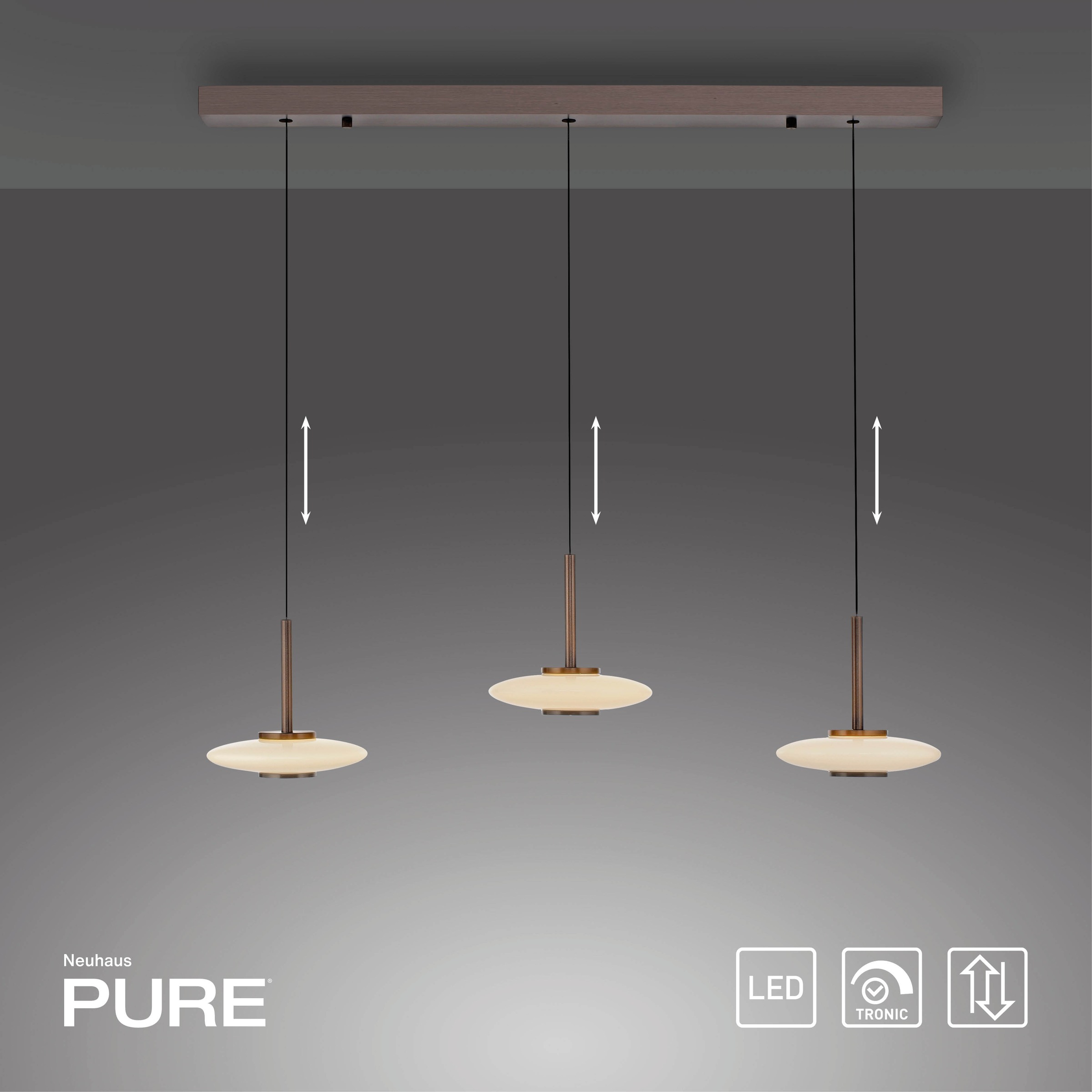 Neuhaus PURE LED Pendelleuchte »PURE Vitrum« LED-Board 1 Stk. Warmweiß Comfort Lift, dimmfähig über separaten Tronicdimmer