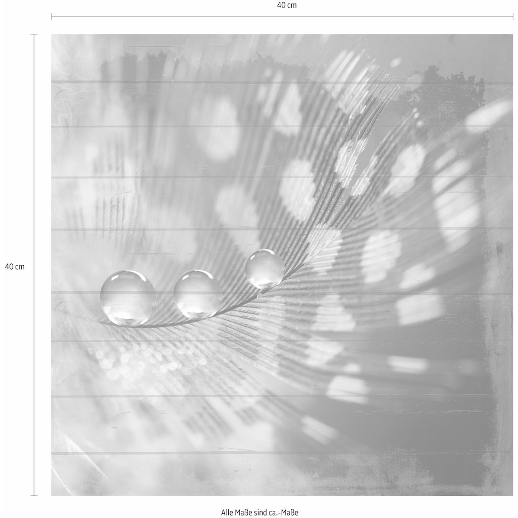 Home affaire Holzbild »Wassertropfen auf Feder«, 40/40 cm