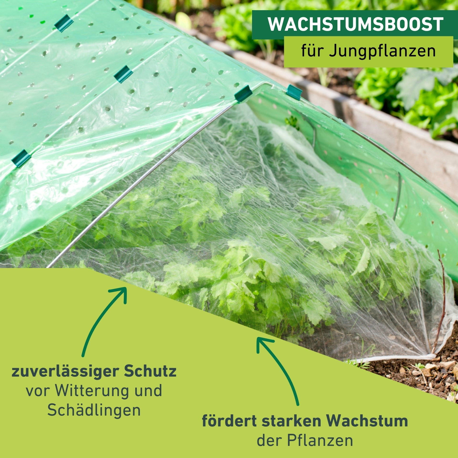 Windhager Foliengewächshaus »Tunnelbogen für Pflanzen in Hochbeeten, für ideale Pflanzenzucht« stabiler, langlebiger Bogen und starkes Wachstum, 0,57x1,3 m