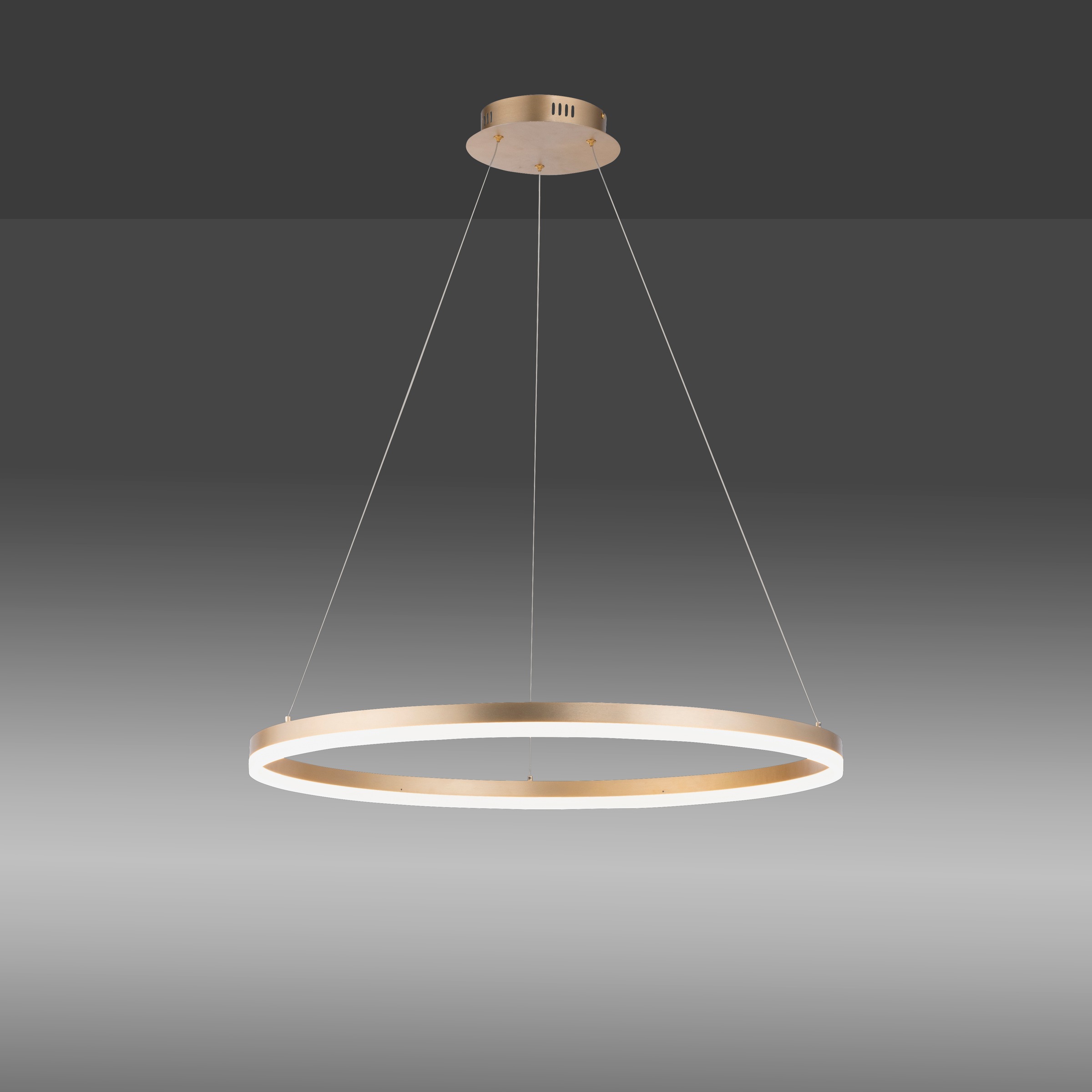 Paul Neuhaus Pendelleuchte »TITUS« LED-Board 1 Stk. Warmweiß LED, dimmbar, günstig online kaufen