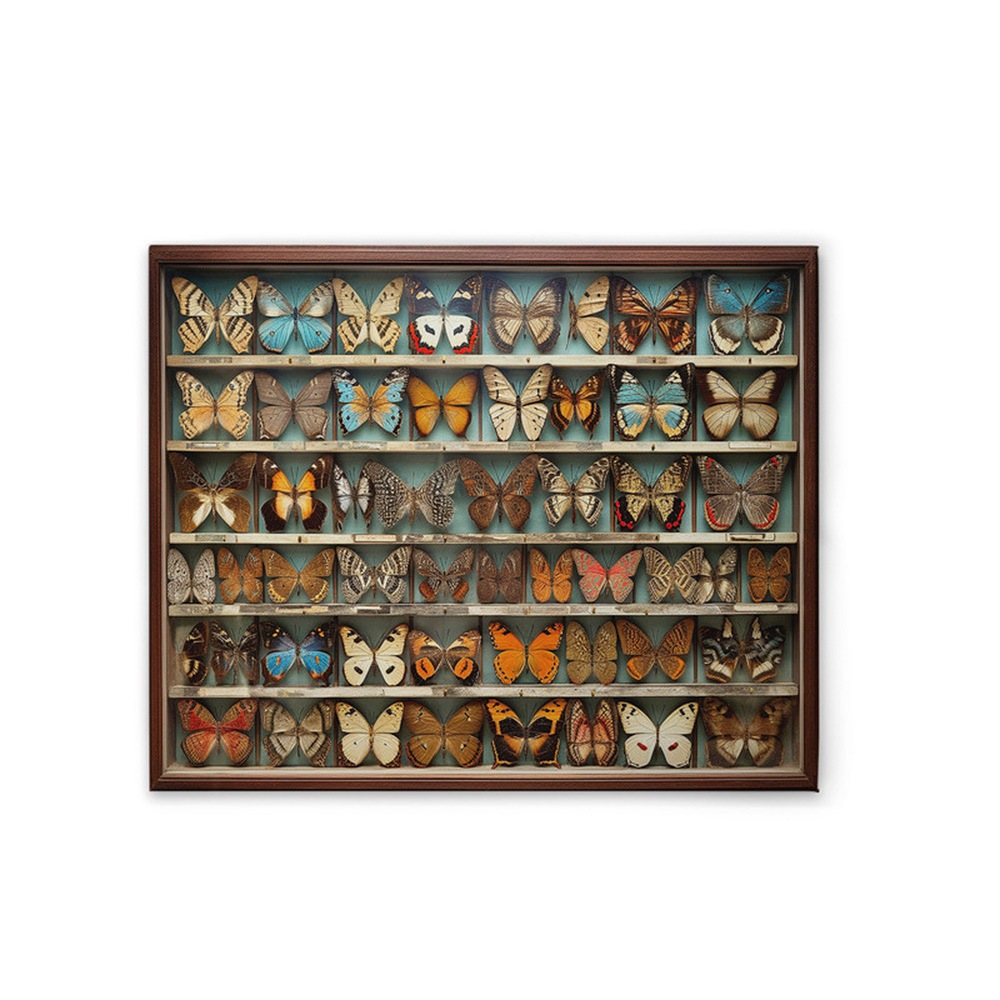 A.S. Création Leinwandbild »Butterfly Box - Wandbild Bunt Braun Keilrahmen günstig online kaufen