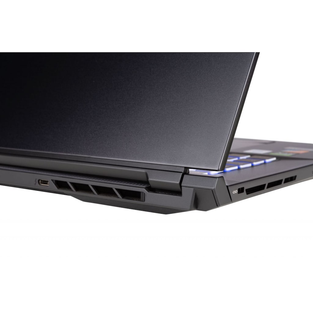 CAPTIVA Gaming-Notebook »Highend Gaming I60-987«, (43,9 cm/17,3 Zoll), Intel, Core i7, GeForce RTX 3080, 1000 GB SSD