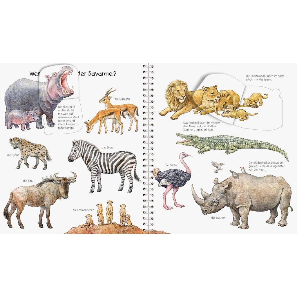 Ravensburger Buch »Mein junior-Lexikon: Tiere - Wieso? Weshalb? Warum?«, Made in Europe; FSC® - schützt Wald - weltweit