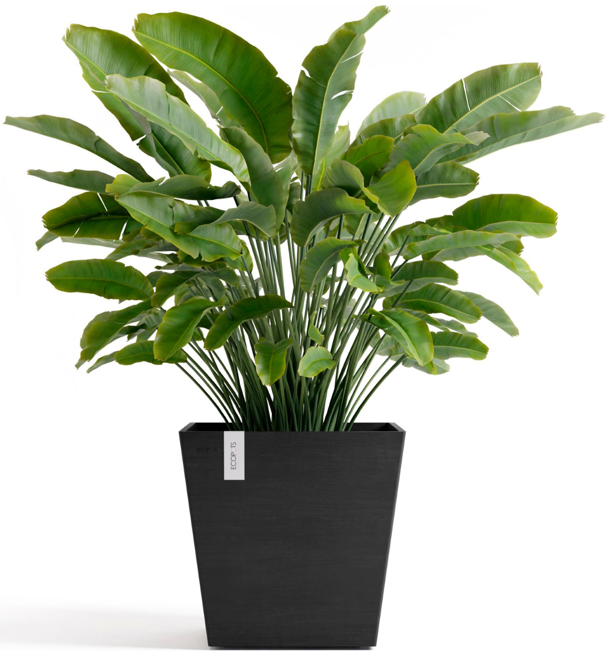 ECOPOTS Blumentopf »Rotterdam 45 + Wassersystem Dunkelgrau« für innen und außen: frostsicher, bruchsicher und lichtbeständig