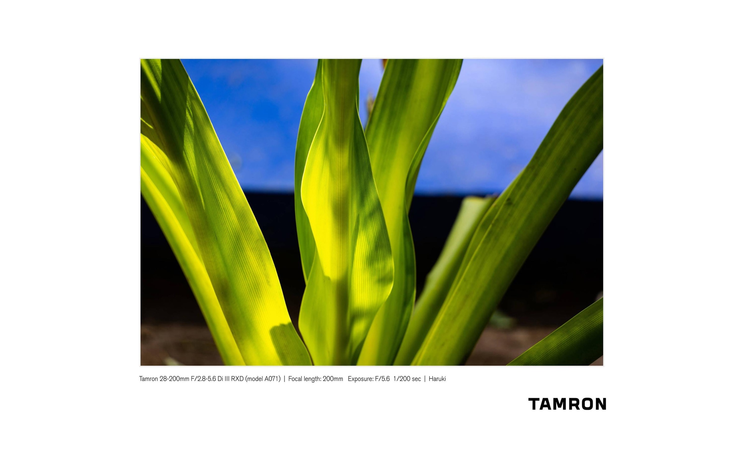 Tamron Zoomobjektiv »28-200mm f / 2.8-5.6 Di III RXD«