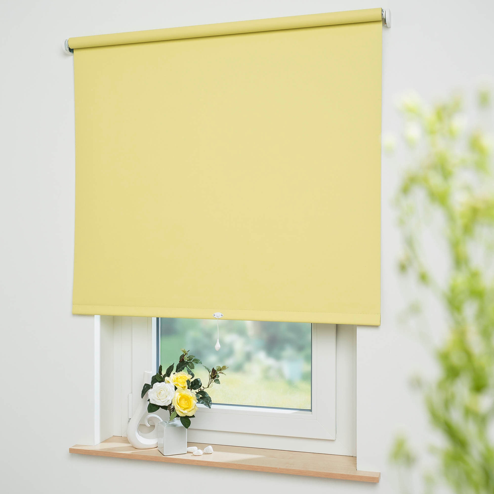 Liedeco Springrollo »Uni«, verdunkelnd, freihängend, Verdunkelung günstig online kaufen