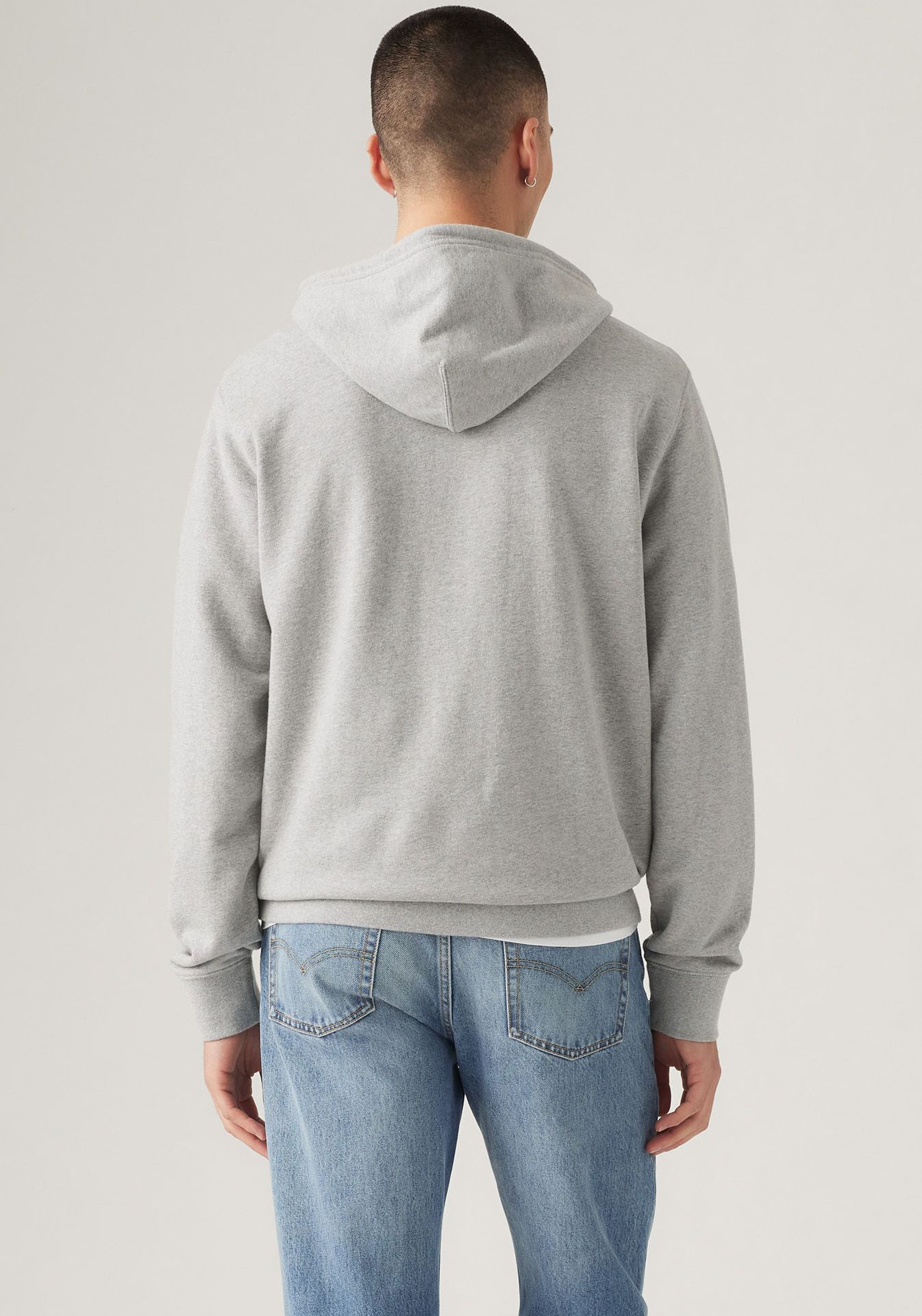 Levi's® Hoodie »STANDARD GRAPHIC HOOD«, mit Kängurutasche