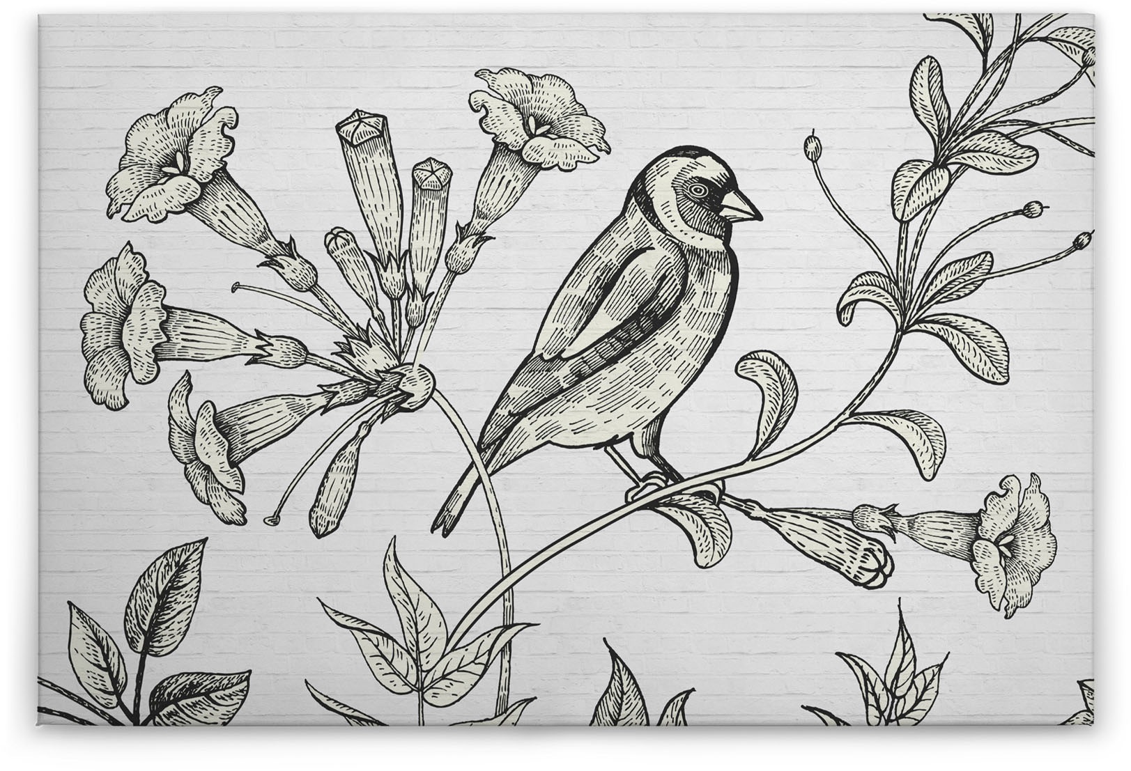 A.S. Création Leinwandbild "birdy", Kunst-Gemälde-Kinder, (1 St.), Schwarz- günstig online kaufen