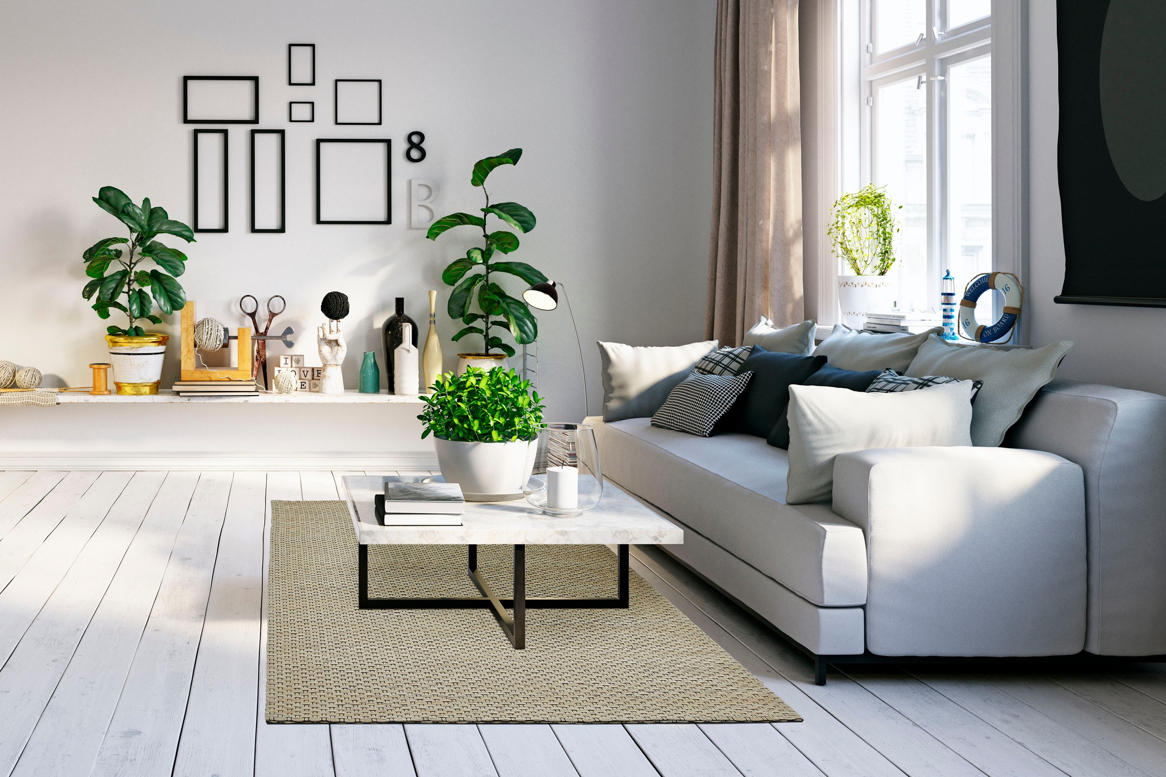 my home Wollteppich "Kappelen" rechteckig 10 mm Höhe Uni-Farben, Kurzflor, günstig online kaufen