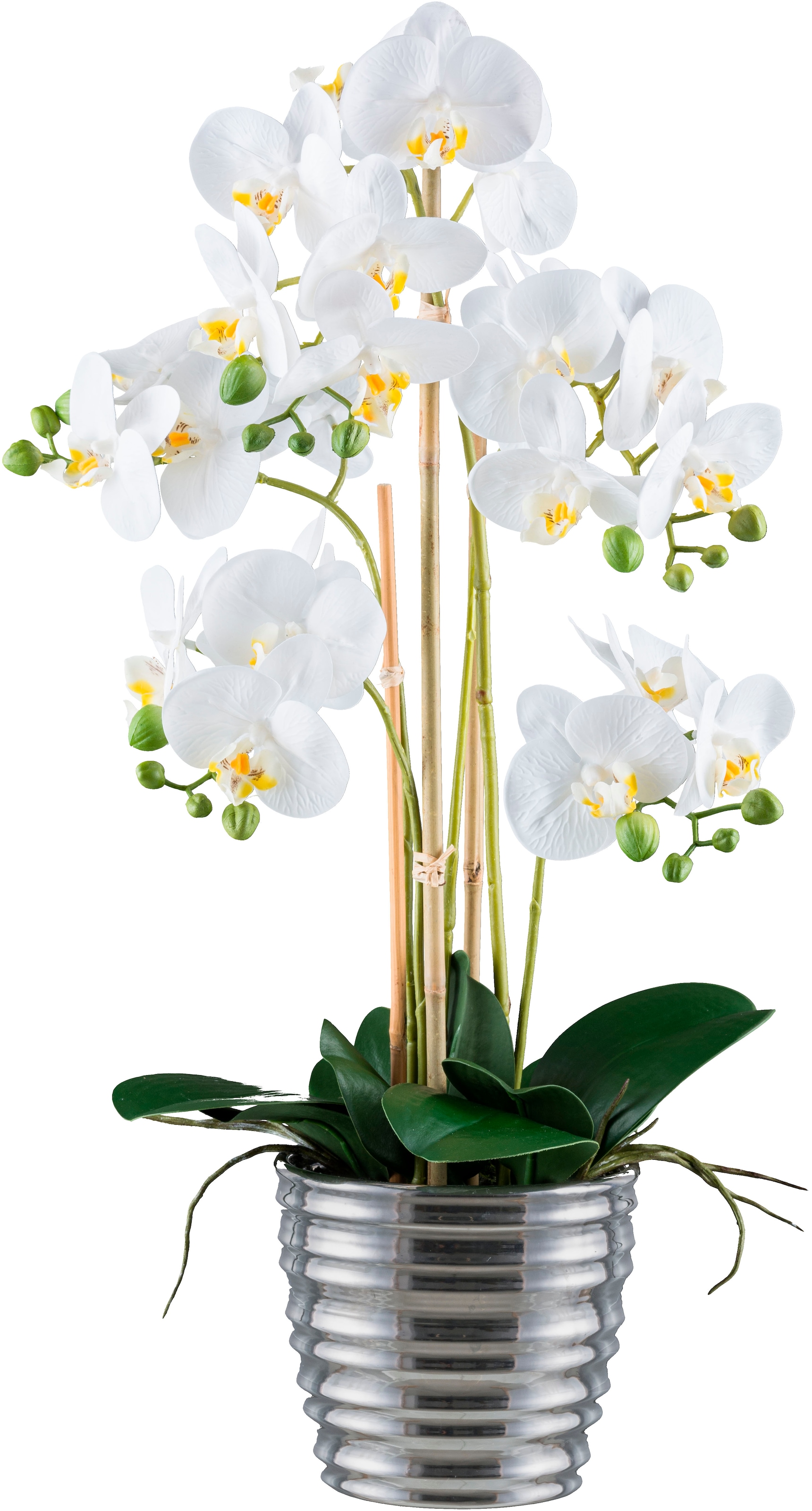 Creativ green Kunstorchidee »Orchidee Phalaenopsis«, mit silberfarbenem Keramiktopf