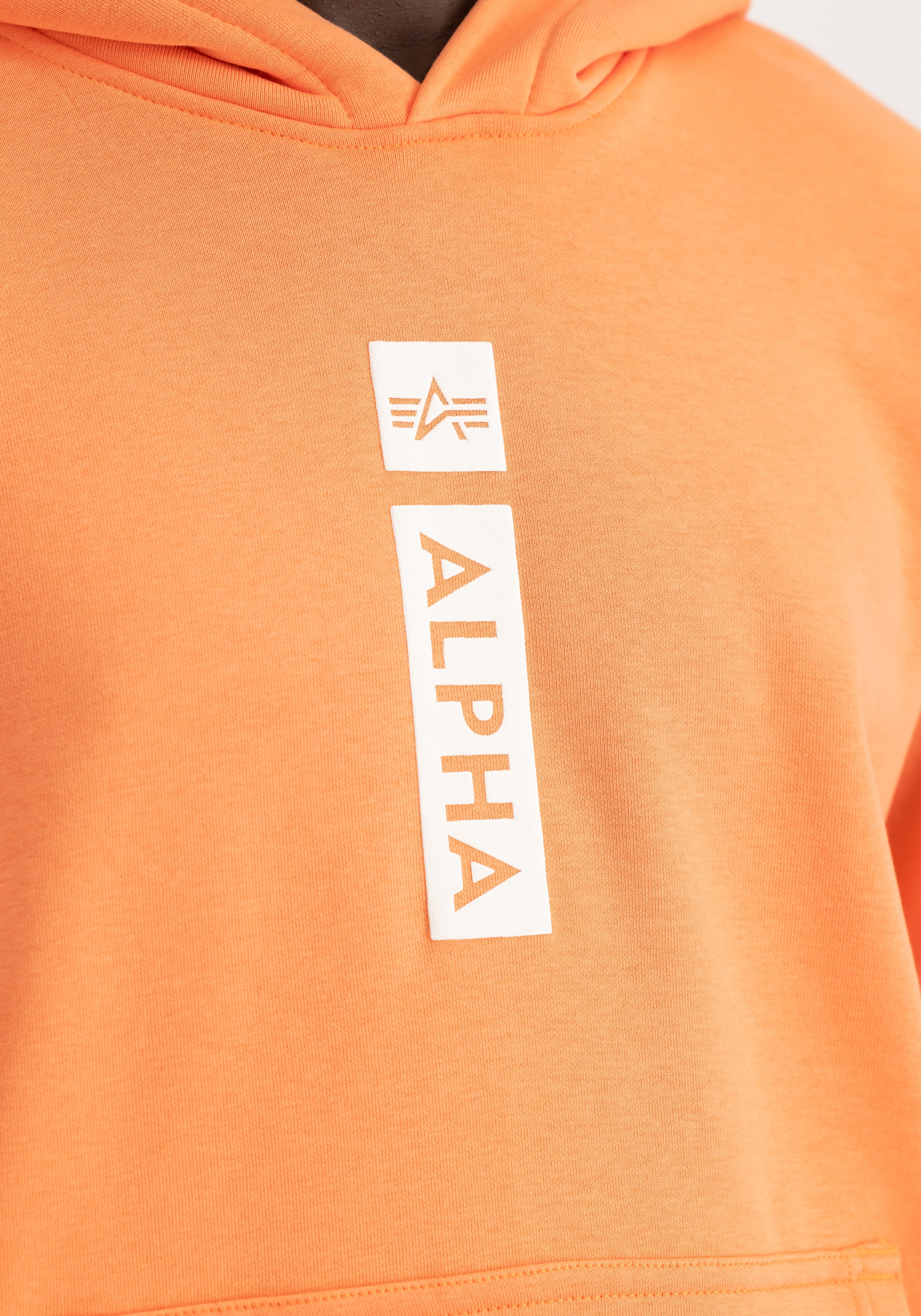 Alpha Industries Hoodie »Alpha Puff Print Hoodie«
