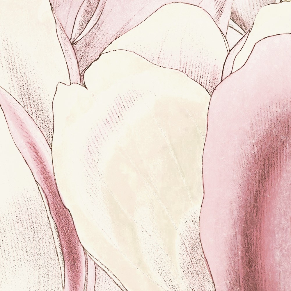 Komar Fototapete »Vlies Fototapete - Petals - Größe 350 x 250 cm« Motiv | bedruckt glatt