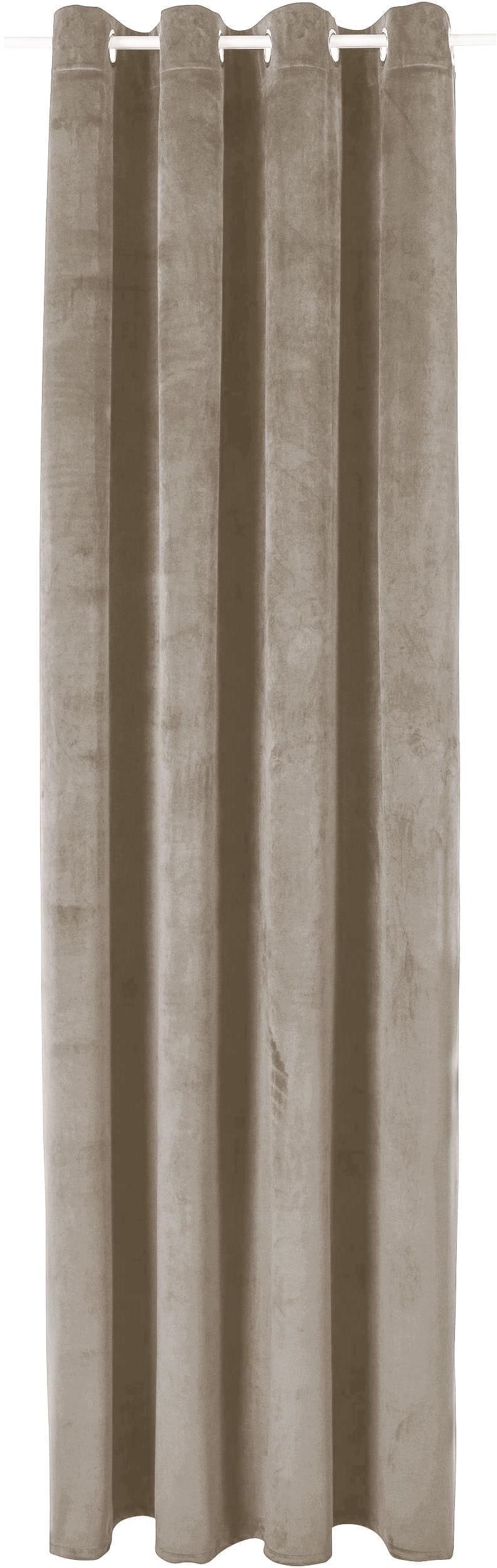 Bruno Banani Vorhang »Leroy«, (1 St.), Samt, blickdicht, monochrom, verschiedene Größen