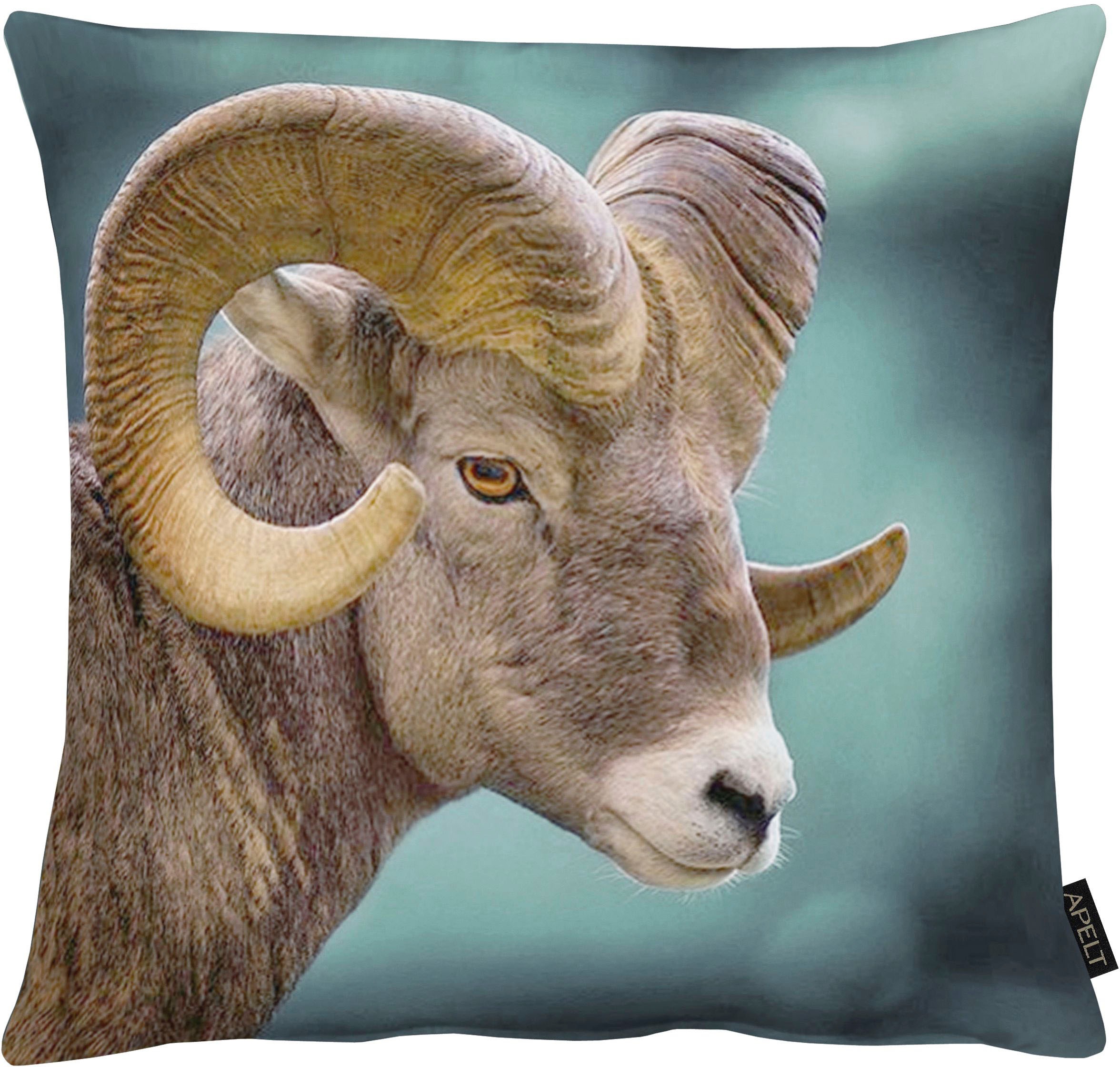 APELT Dekokissen »5881« günstig online kaufen