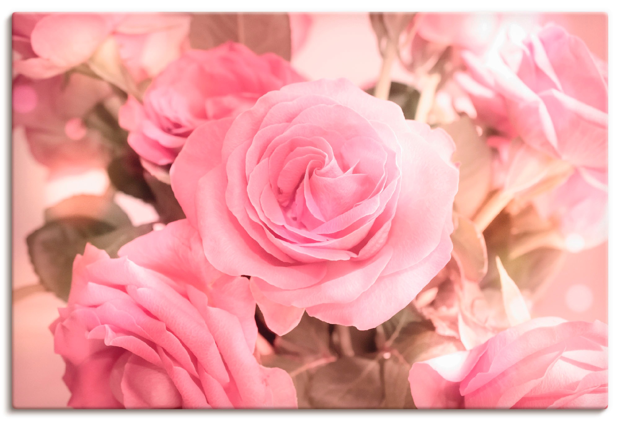 Artland Wandbild »Rosarosenbouquet«, Blumen, (1 St.), als Leinwandbild, Pos günstig online kaufen