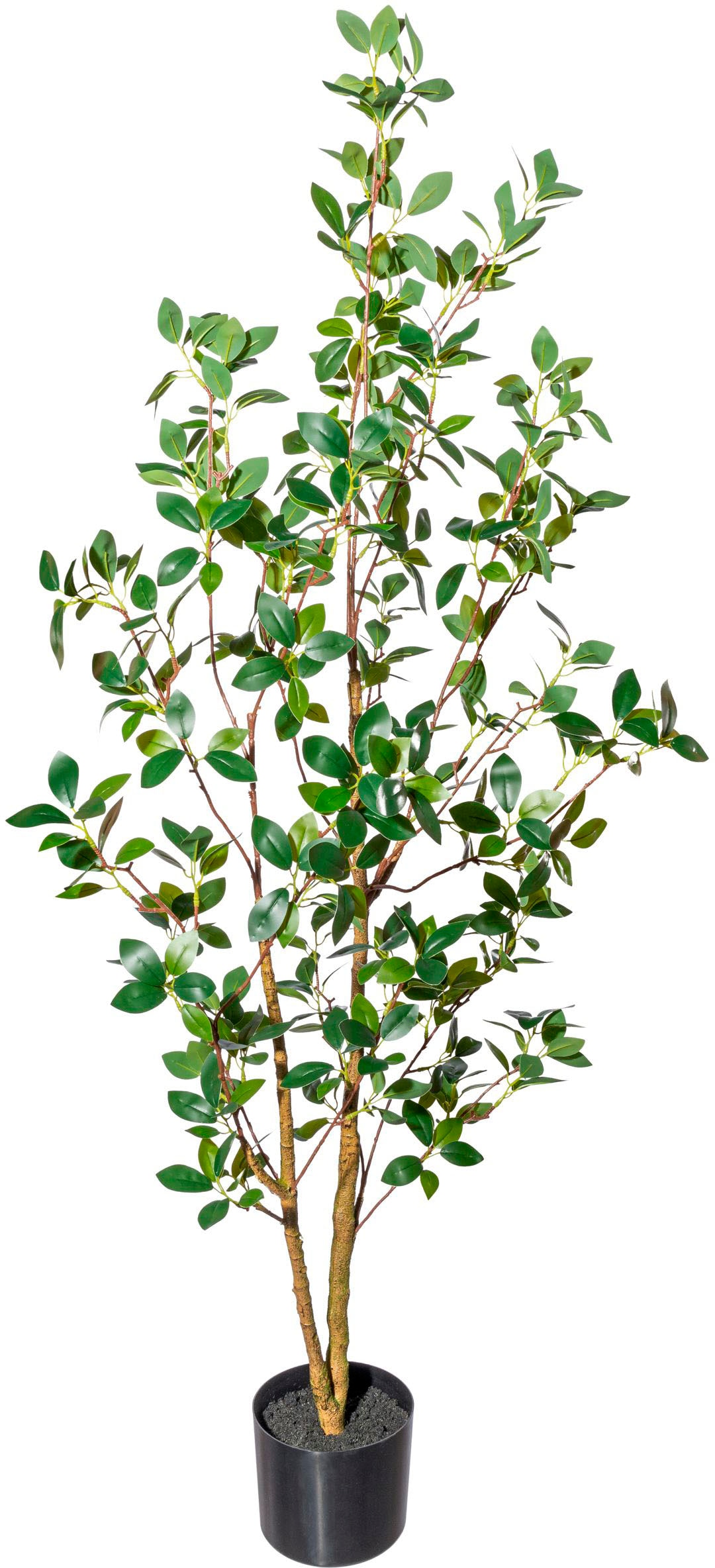 Creativ green Kunstbaum »Ficus ginseng« günstig online kaufen