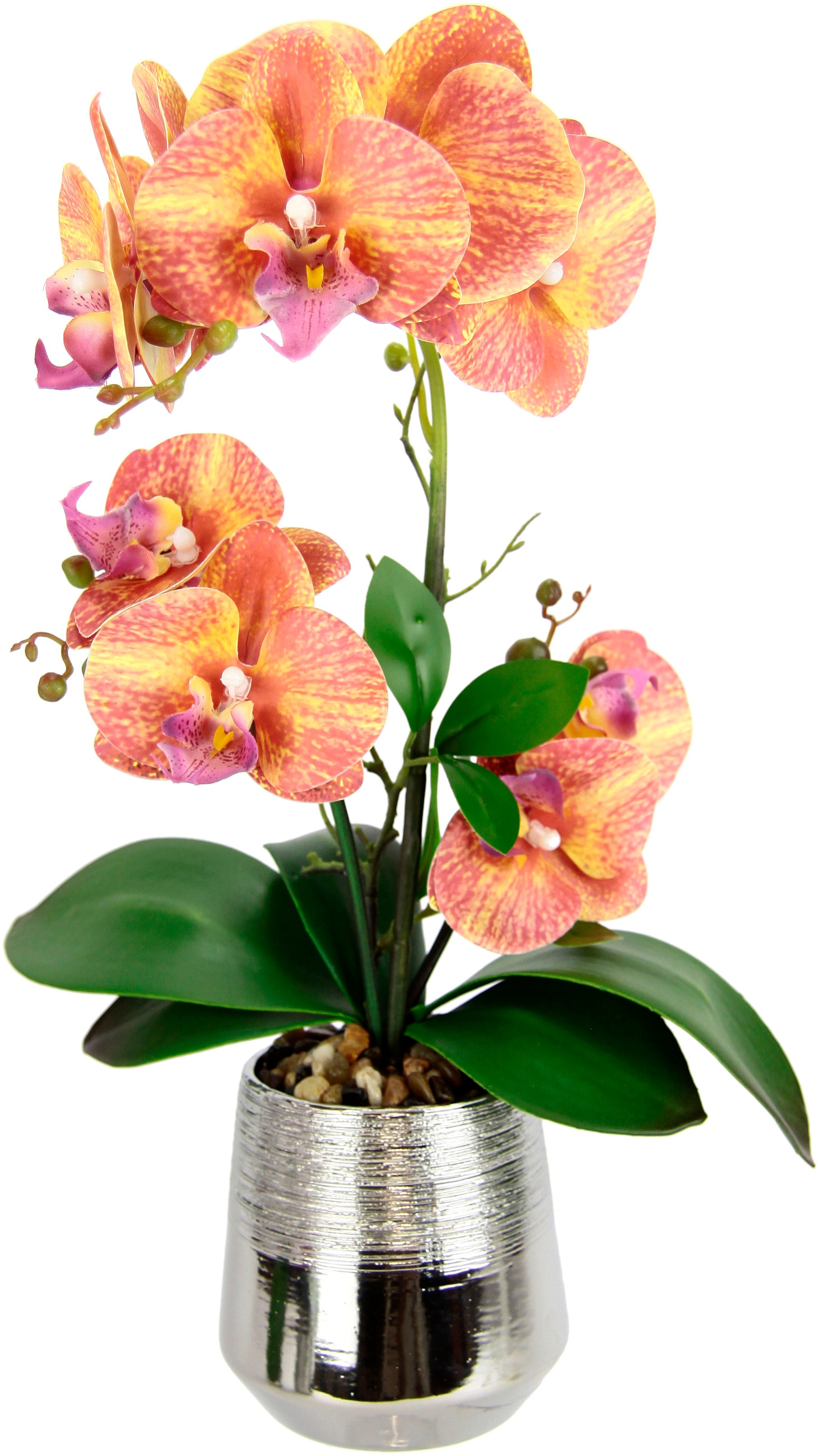 I.GE.A. Kunstorchidee »Phalaenopsis Orchidee im Topf«, Kunstblume mit Blätt günstig online kaufen