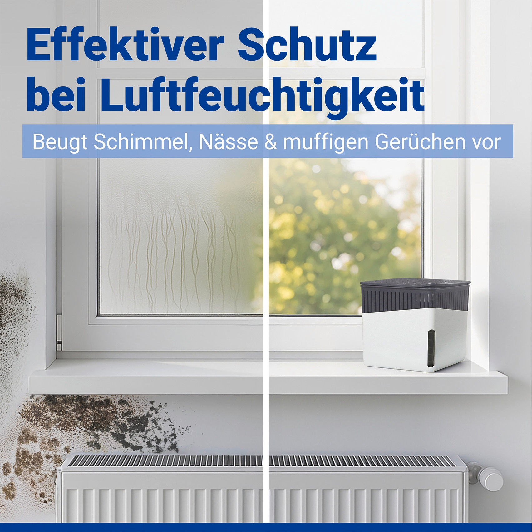 WENKO Luftentfeuchter »Modell Cube« für 80 m³ Räume Tank 1,6 l mit 2 x 1000 g Entfeuchter-Blöcken, für Räume bis 80 m³