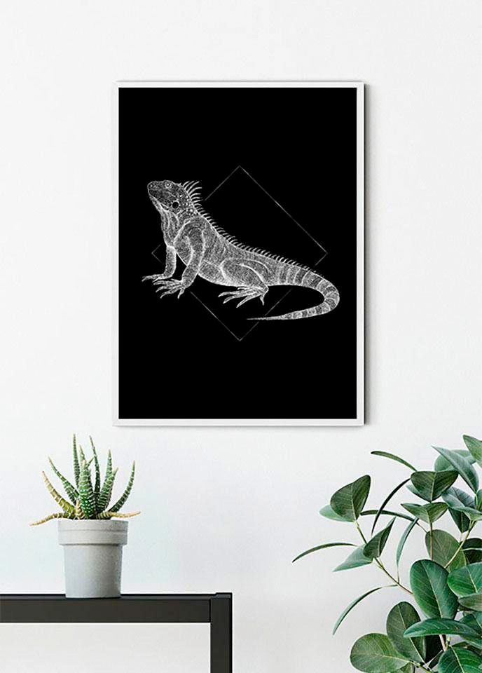 Komar Bild »Iguana Black«, Tiere, (1 St.), Wandbild zur Dekoration - ohne Rahmen