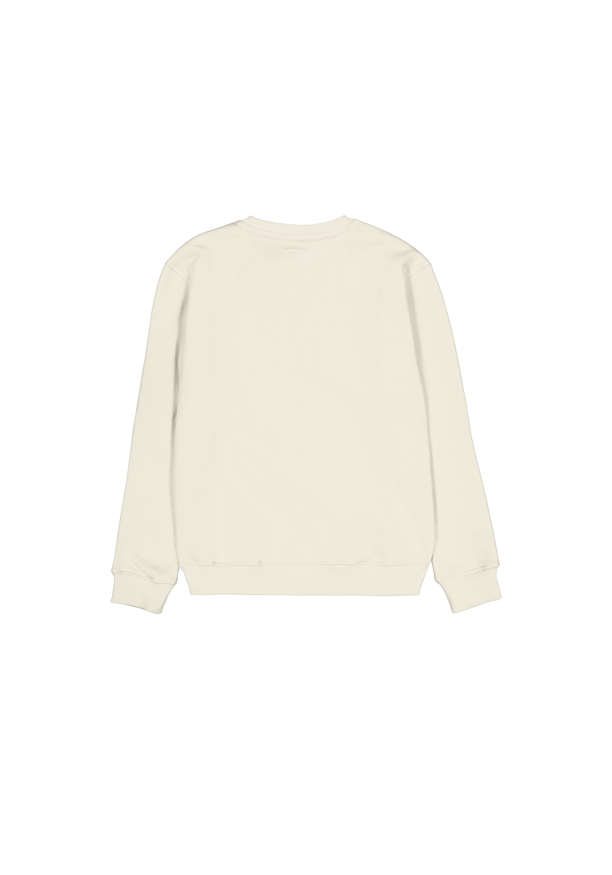 Alpha Industries Sweater »Alpha Industries Men - Sweatshirts Camo Sleeve Sweatshirt«