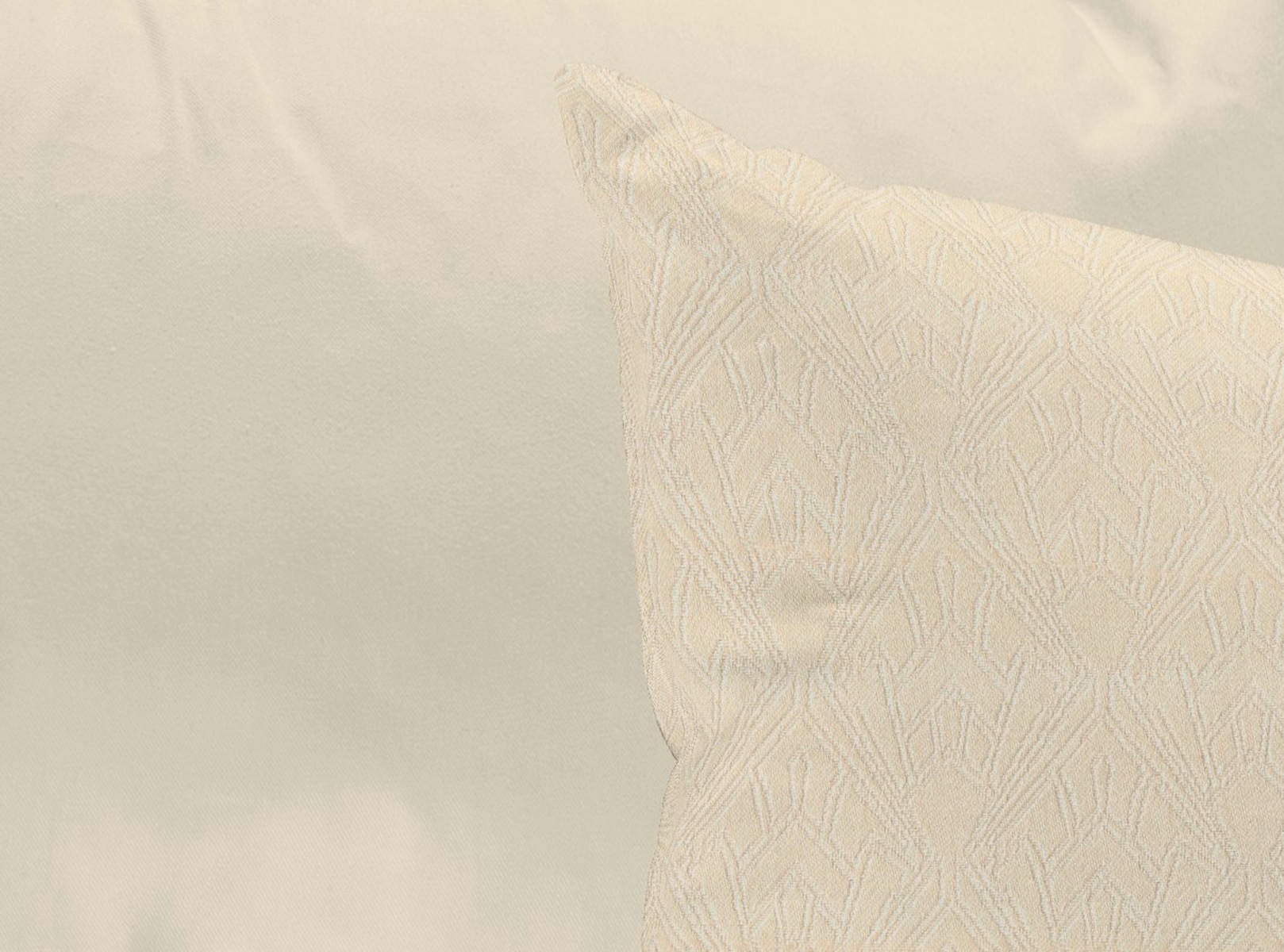Adam Dekokissen »Urban Cactus«, zertifizierter Bio-Baumwolle, Wendekissenhü günstig online kaufen