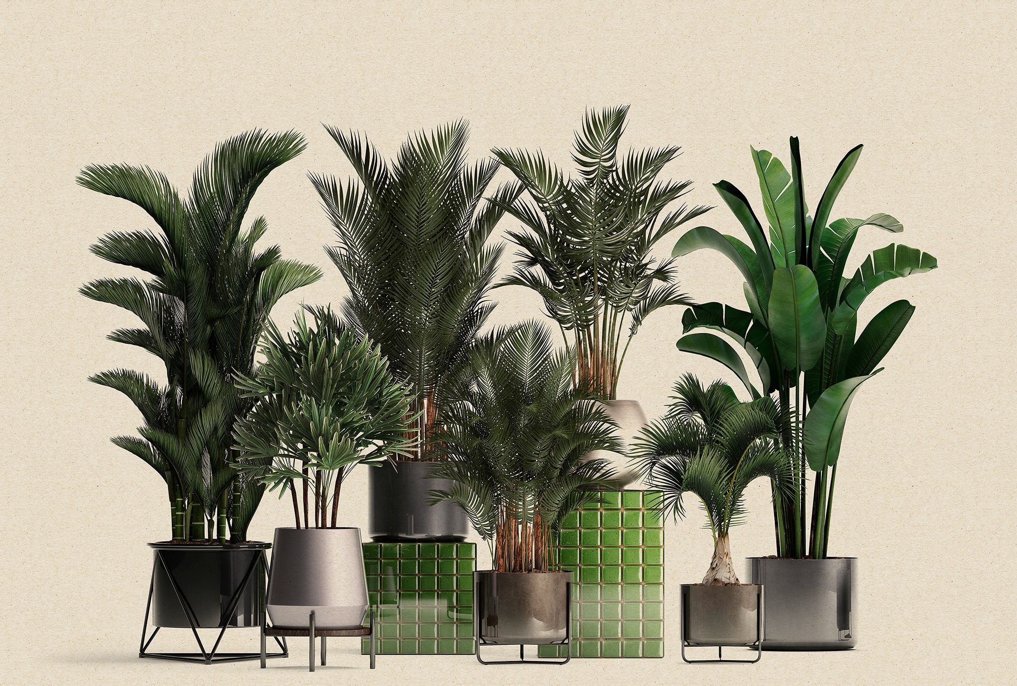 living walls Fototapete »Walls by Patel Plant Shop« glatt Vlies, Wand günstig online kaufen