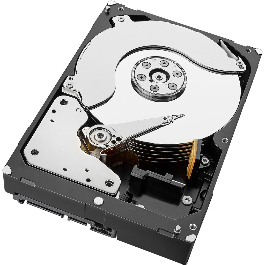 Seagate HDD-Server-Festplatte »Exos 7E8 8TB SAS 512e/4Kn«, Anschluss SAS