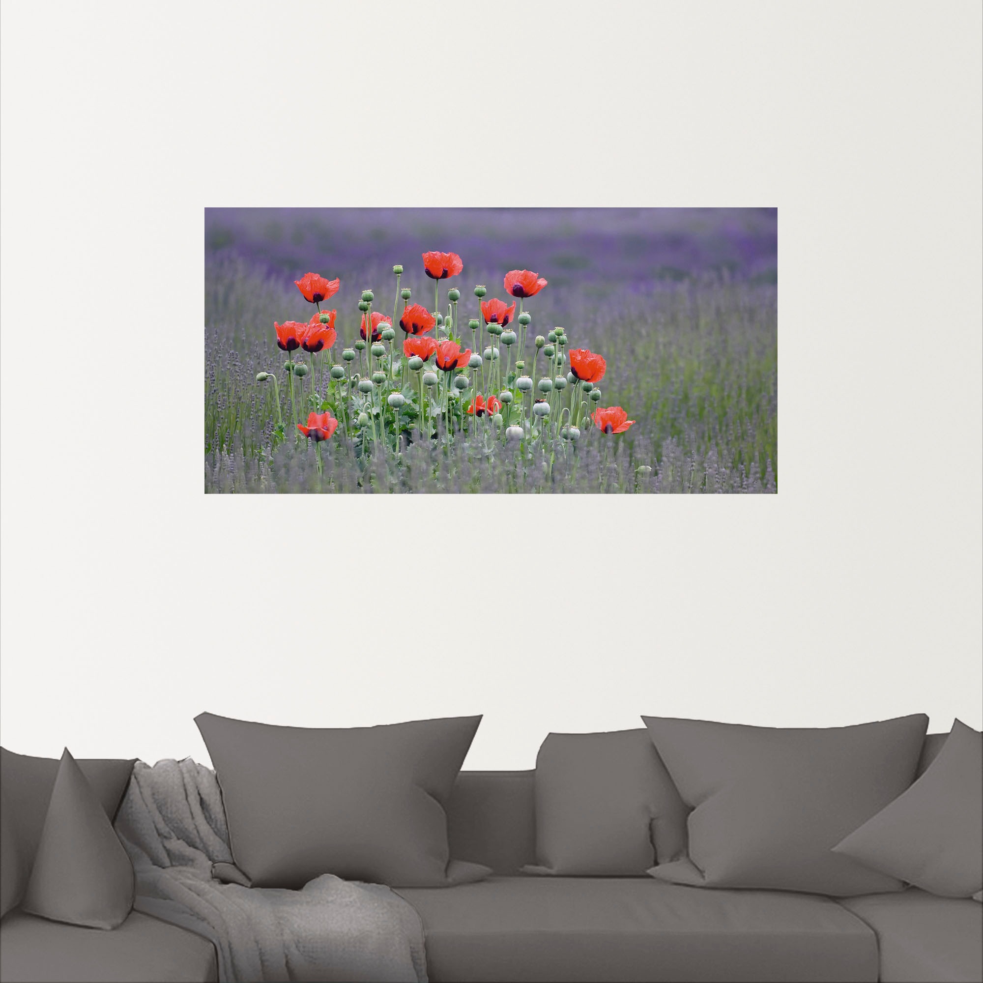 Artland Wandbild »Lavendelfarm in Sequim - Mohnblumen«, Blumenwiese, (1 St.), als Leinwandbild, Poster, Wandaufkleber in verschied. Größen
